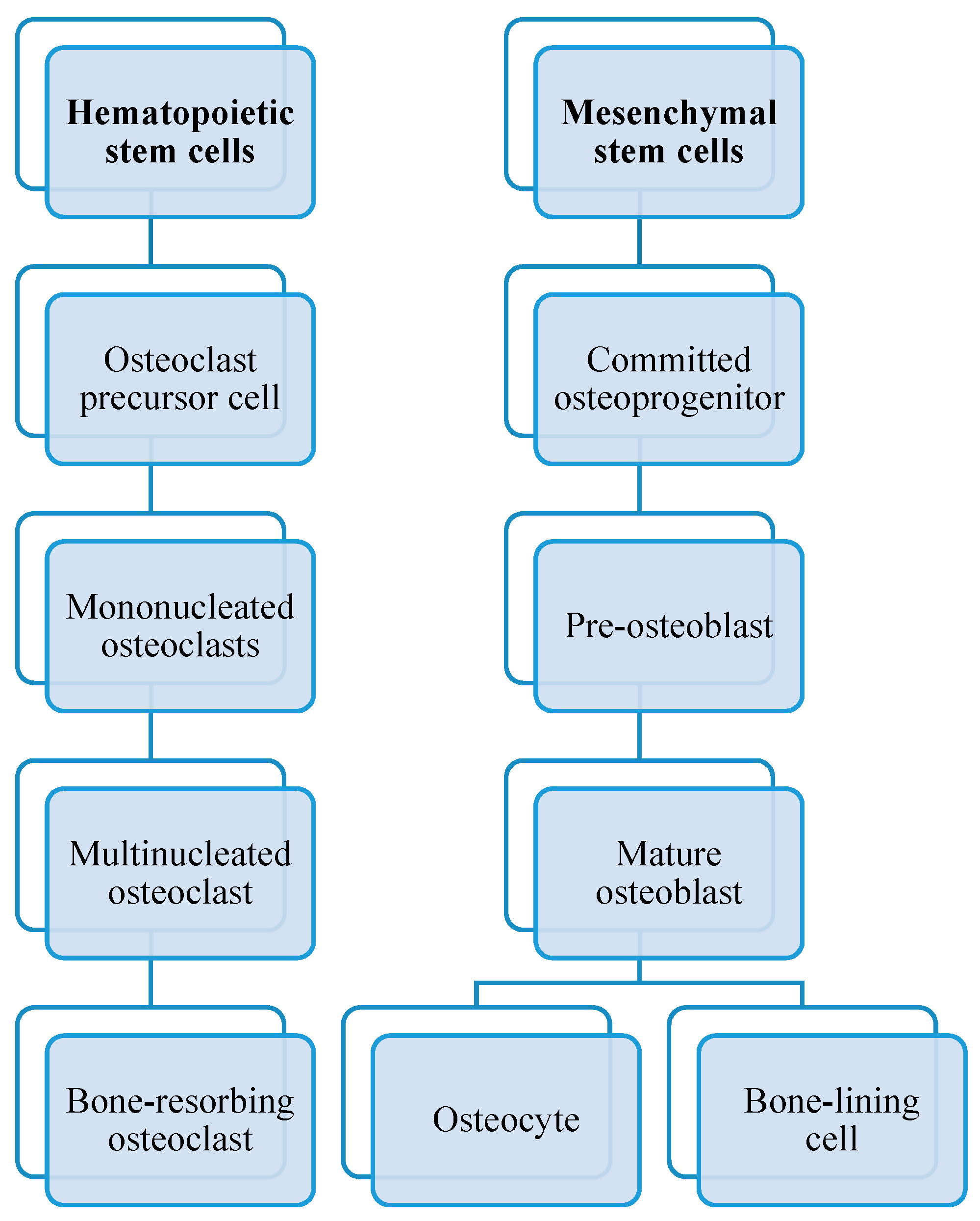 Cells 12 02576 g003 Cells 12 02576 g003
