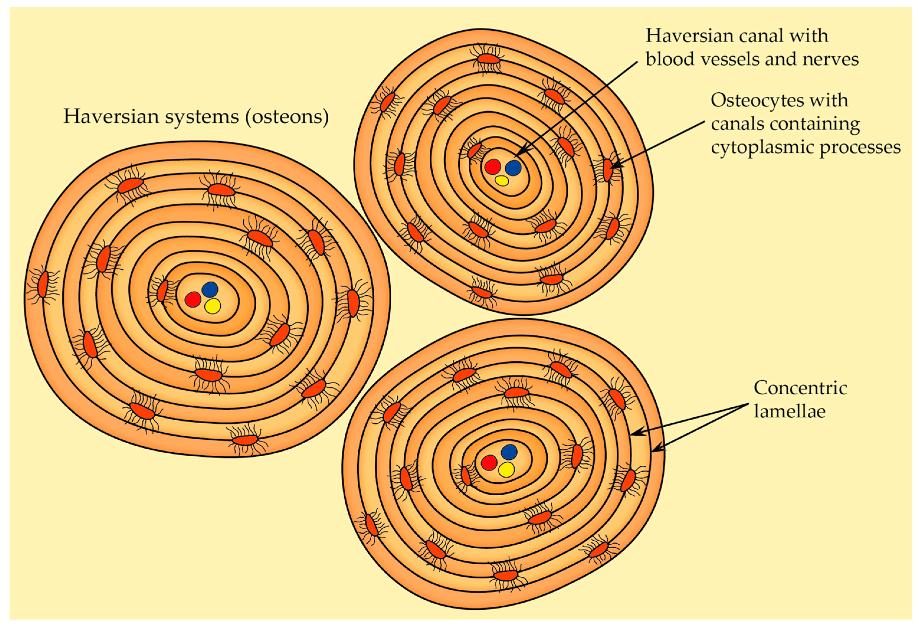Cells 12 02576 g009 Cells 12 02576 g009
