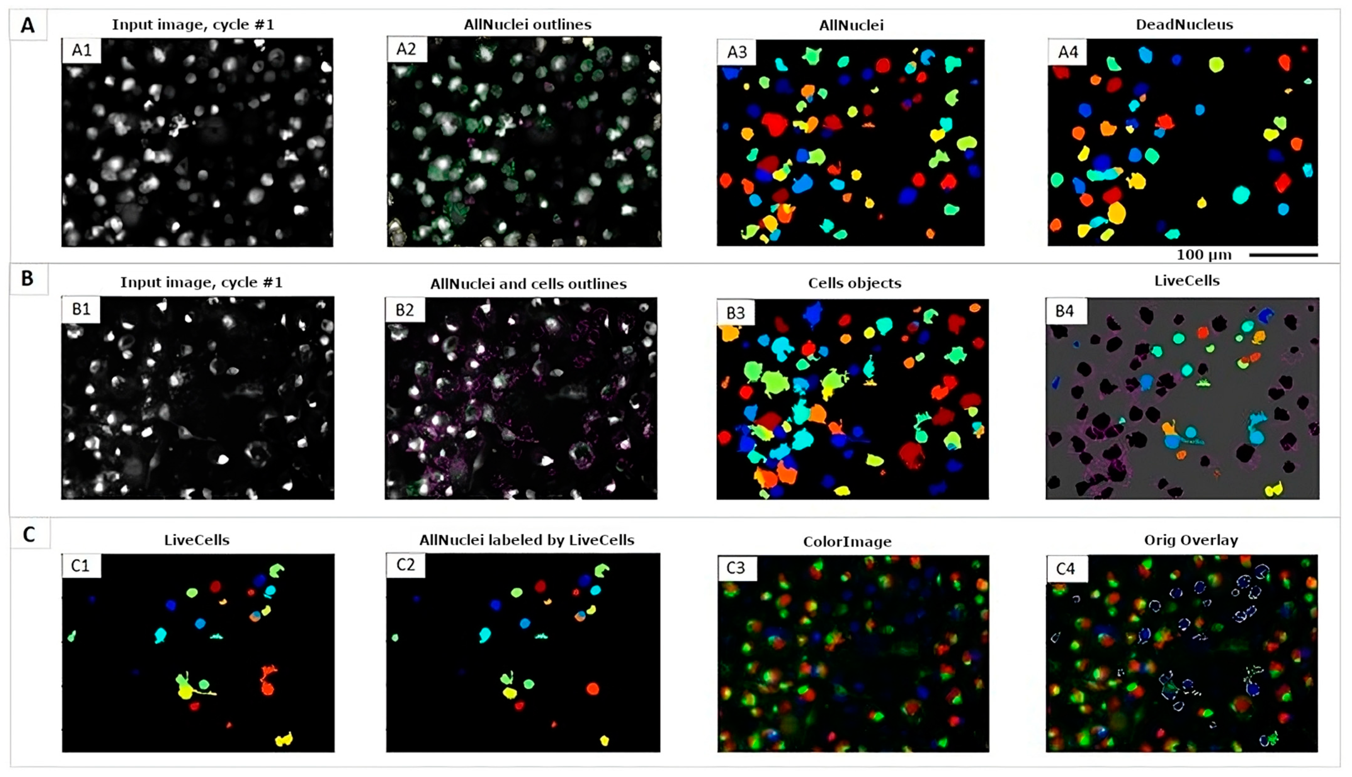 Cells 12 02588 g001 Cells 12 02588 g001