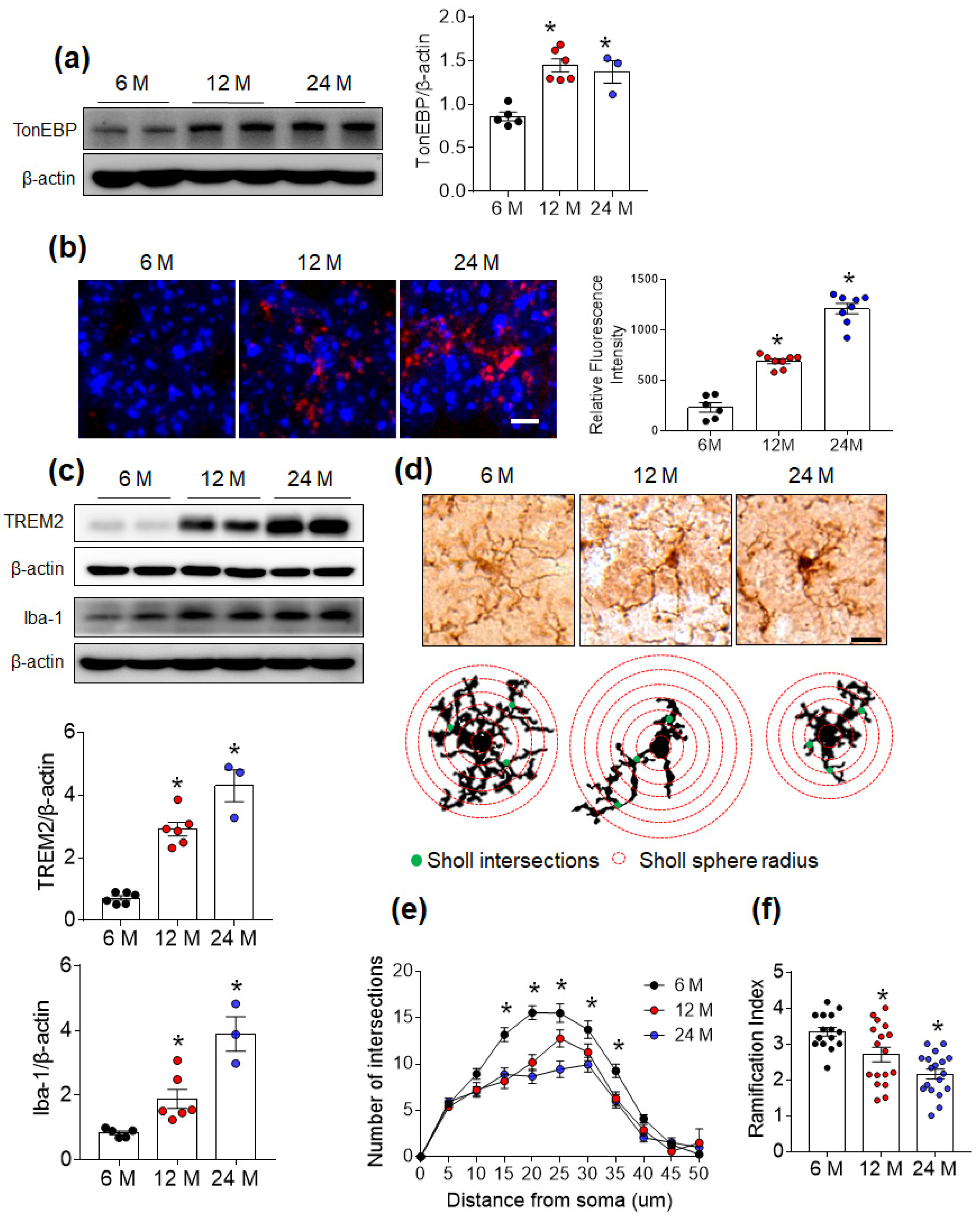 Cells 12 02612 g001
