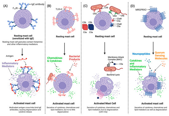 Taming Staphylococcus aureus in the eczema skin microbiome