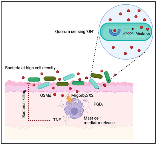 Taming Staphylococcus aureus in the eczema skin microbiome