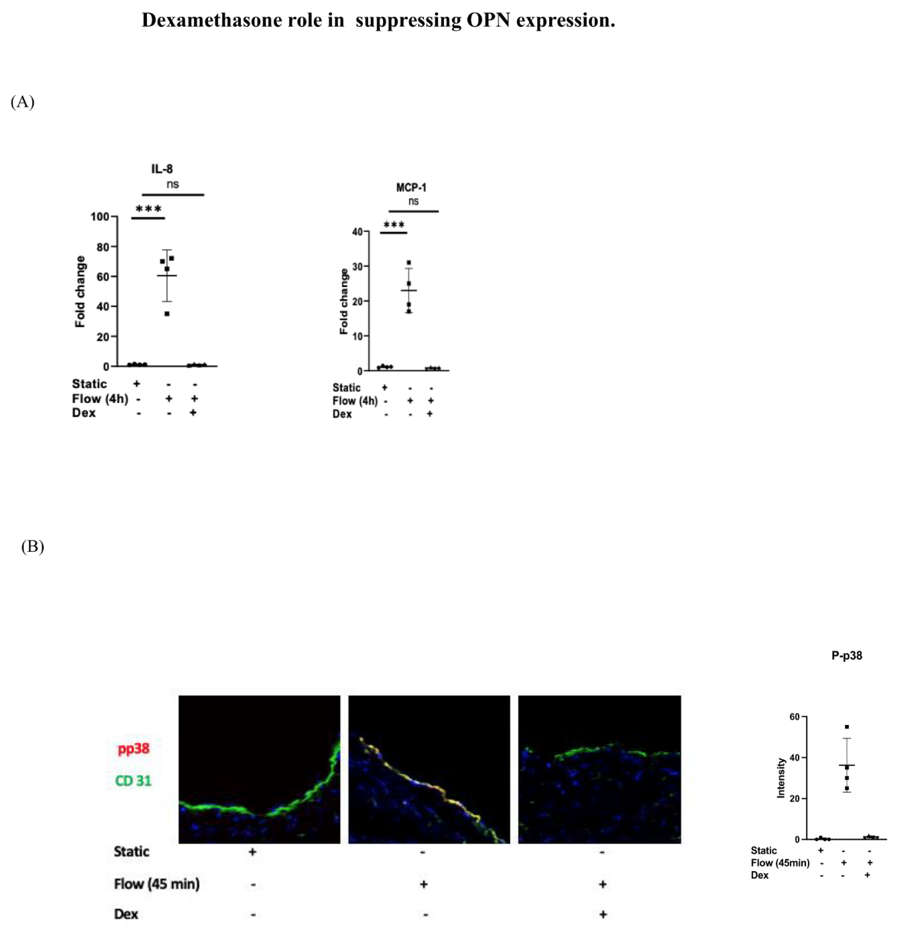Cells 12 02627 g003a