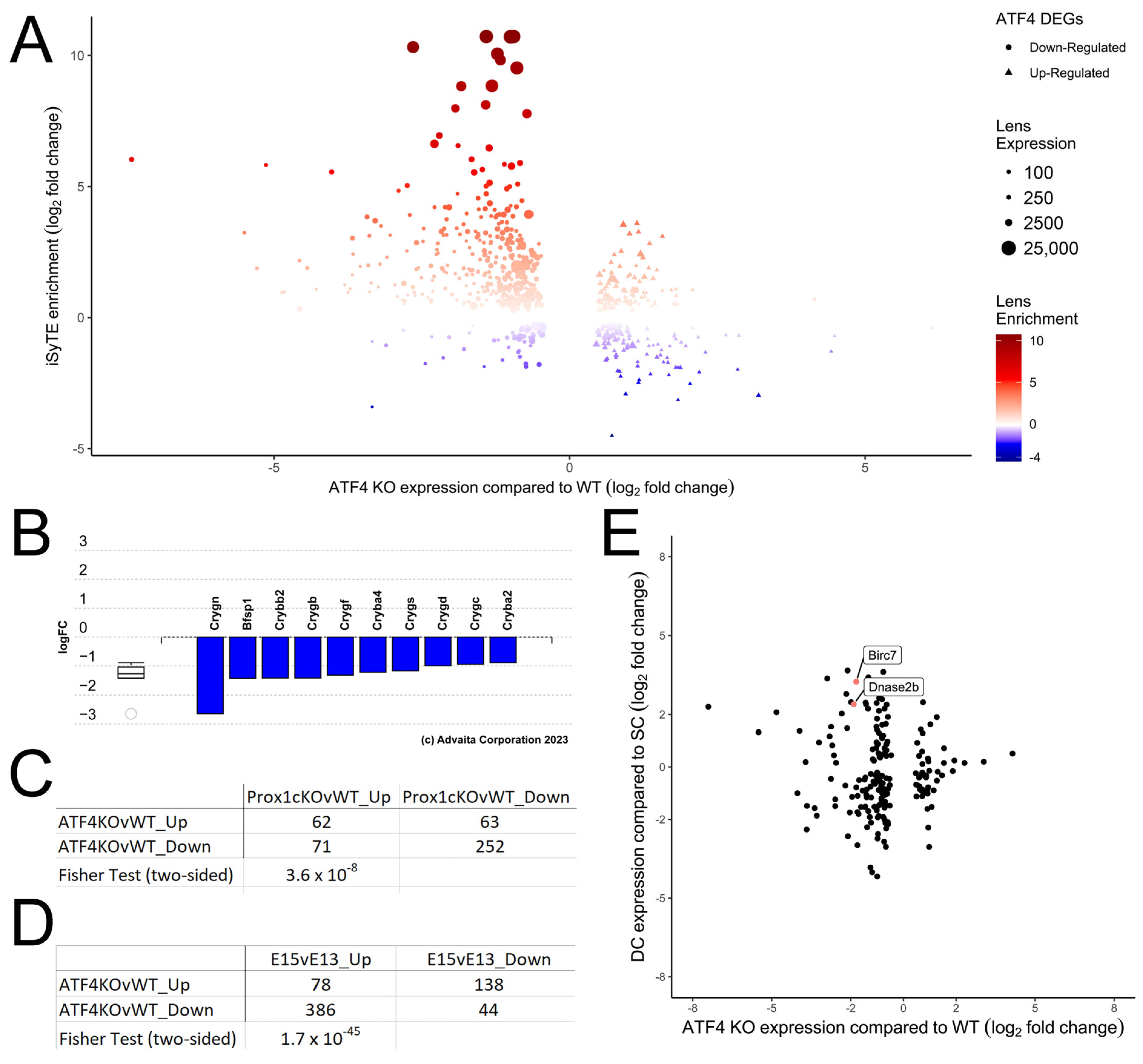 Cells 12 02636 g004 Cells 12 02636 g004