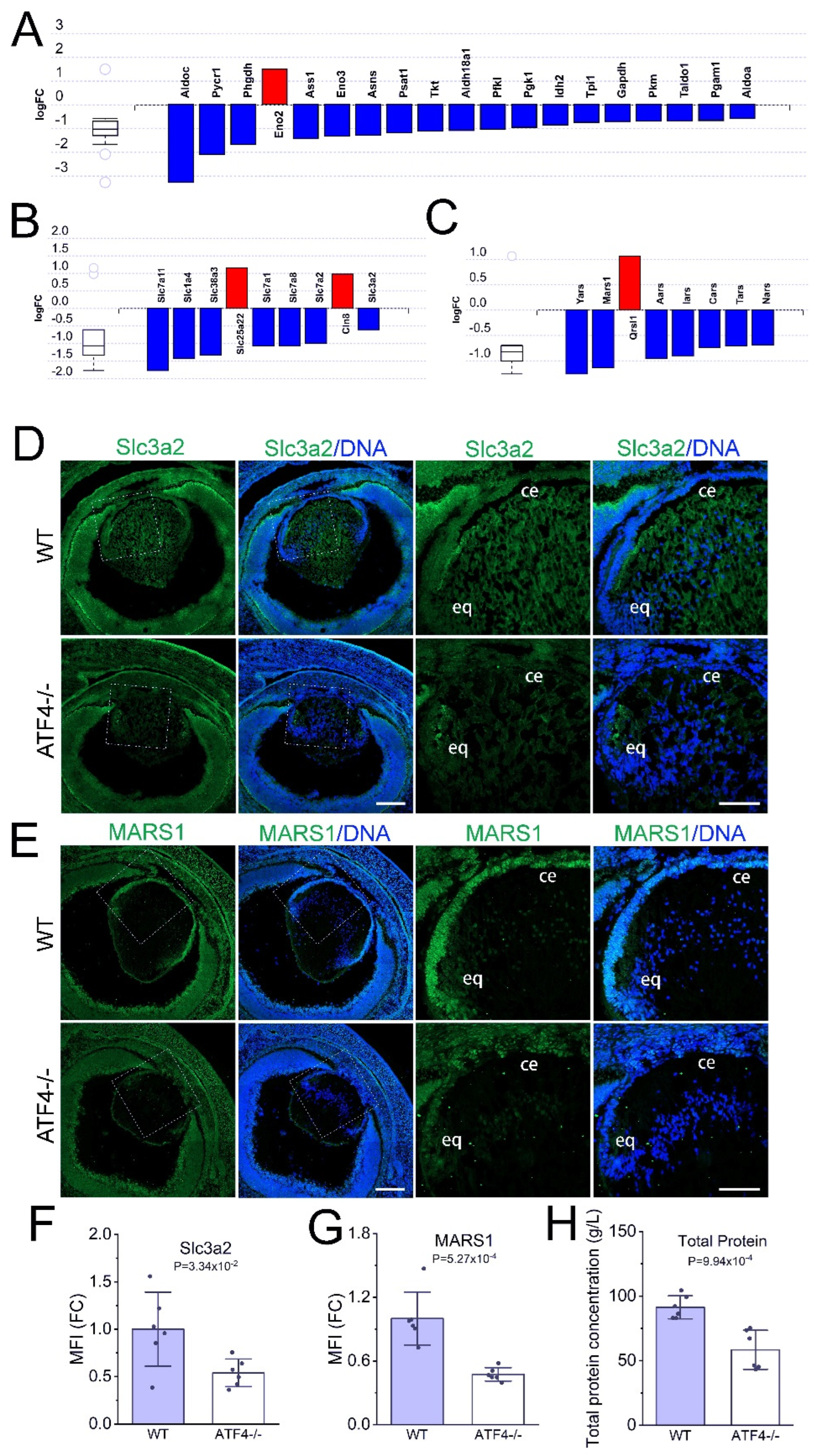 Cells 12 02636 g005 Cells 12 02636 g005