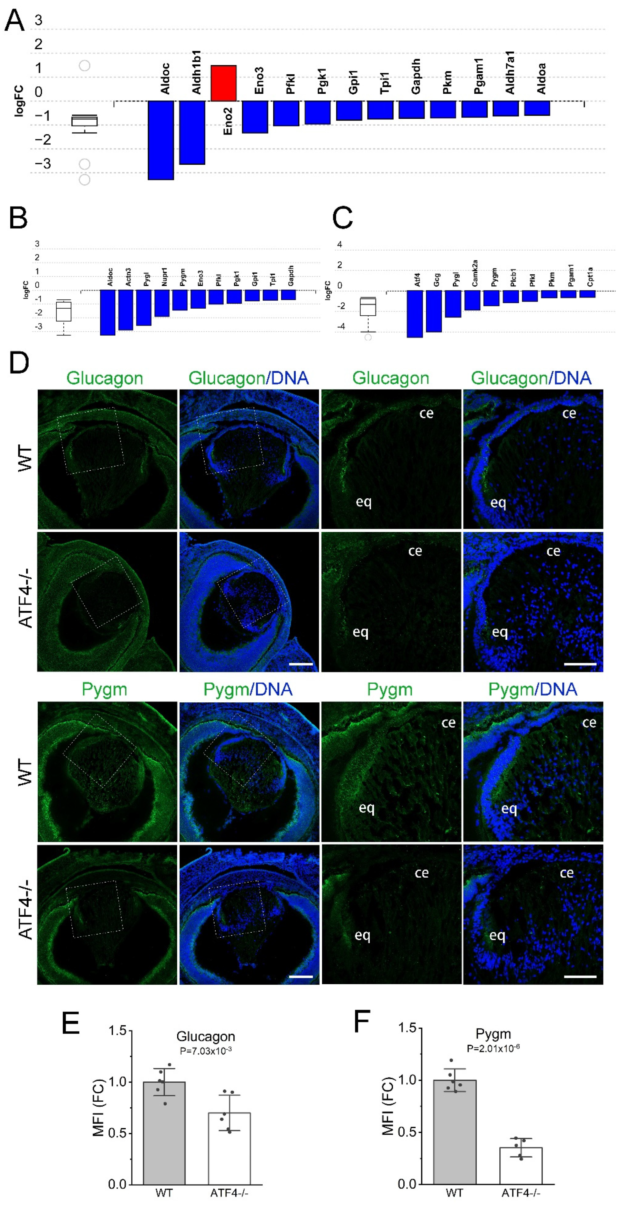Cells 12 02636 g008 Cells 12 02636 g008