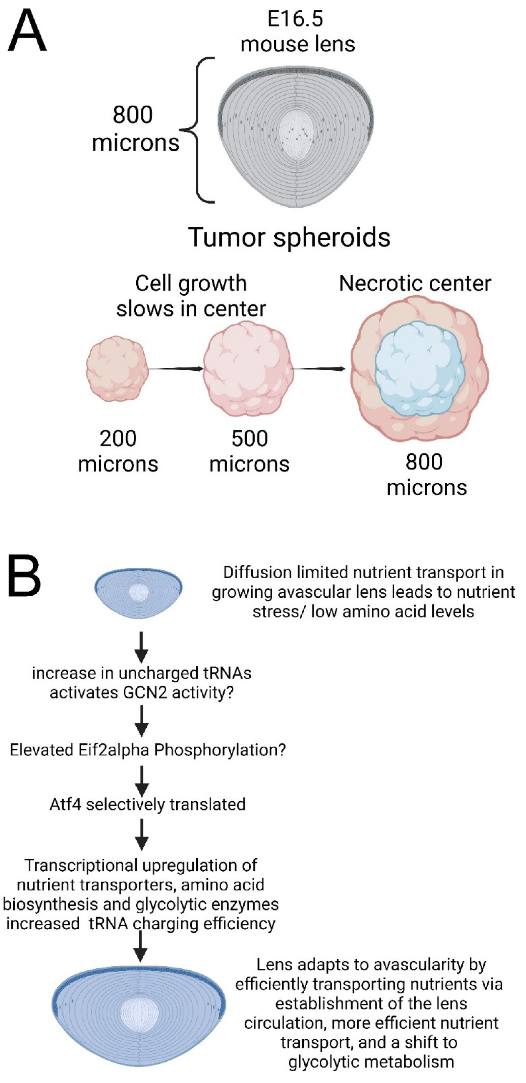 Cells 12 02636 g009 Cells 12 02636 g009