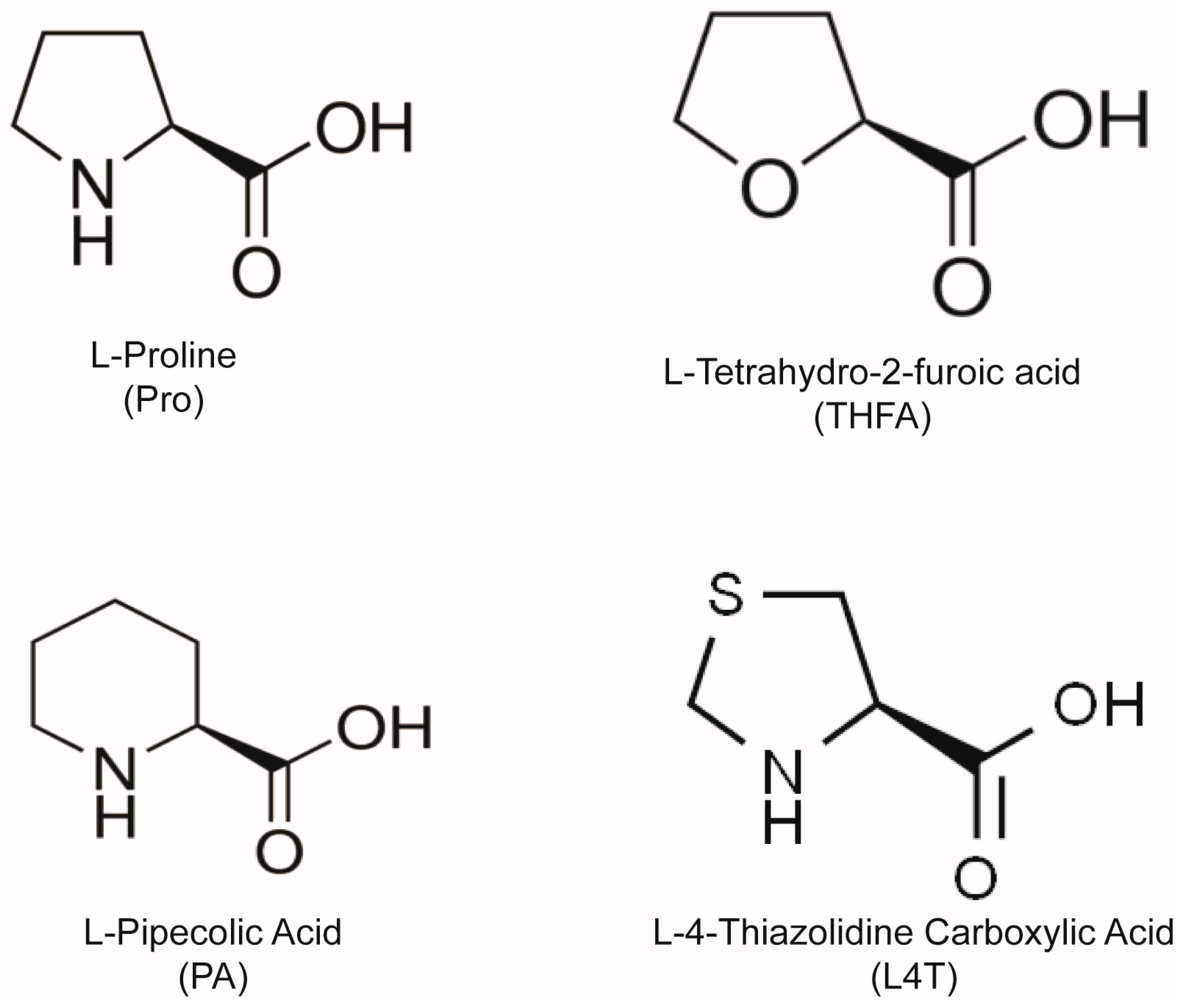 Cells 12 02640 g001 Cells 12 02640 g001