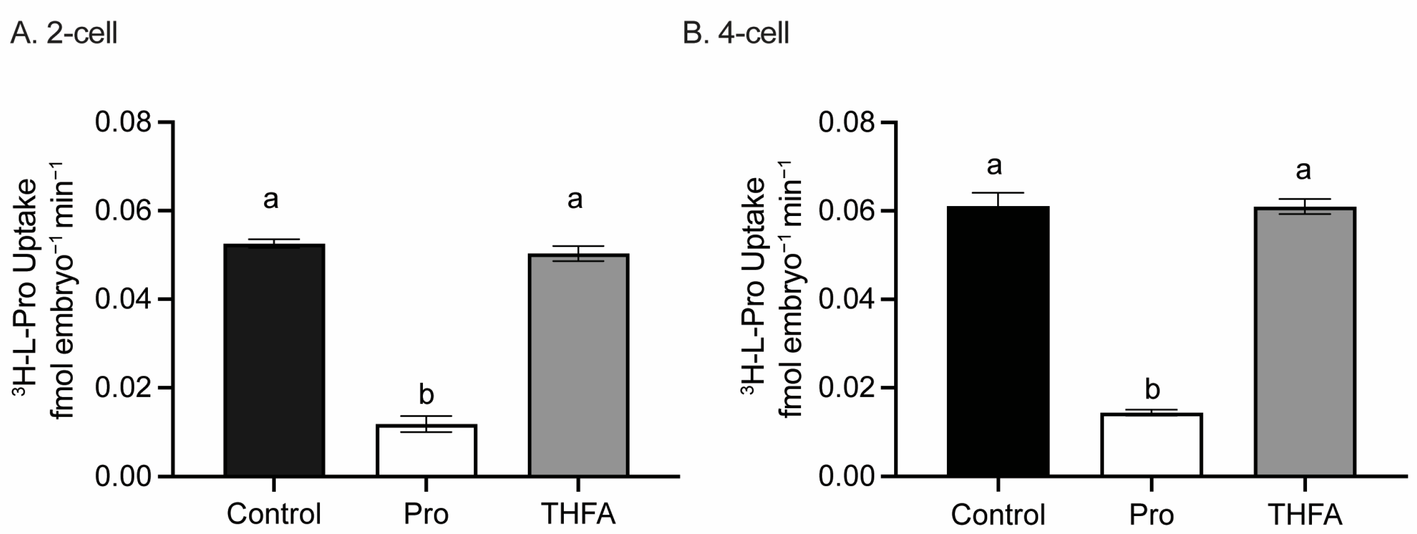 Cells 12 02640 g003 Cells 12 02640 g003