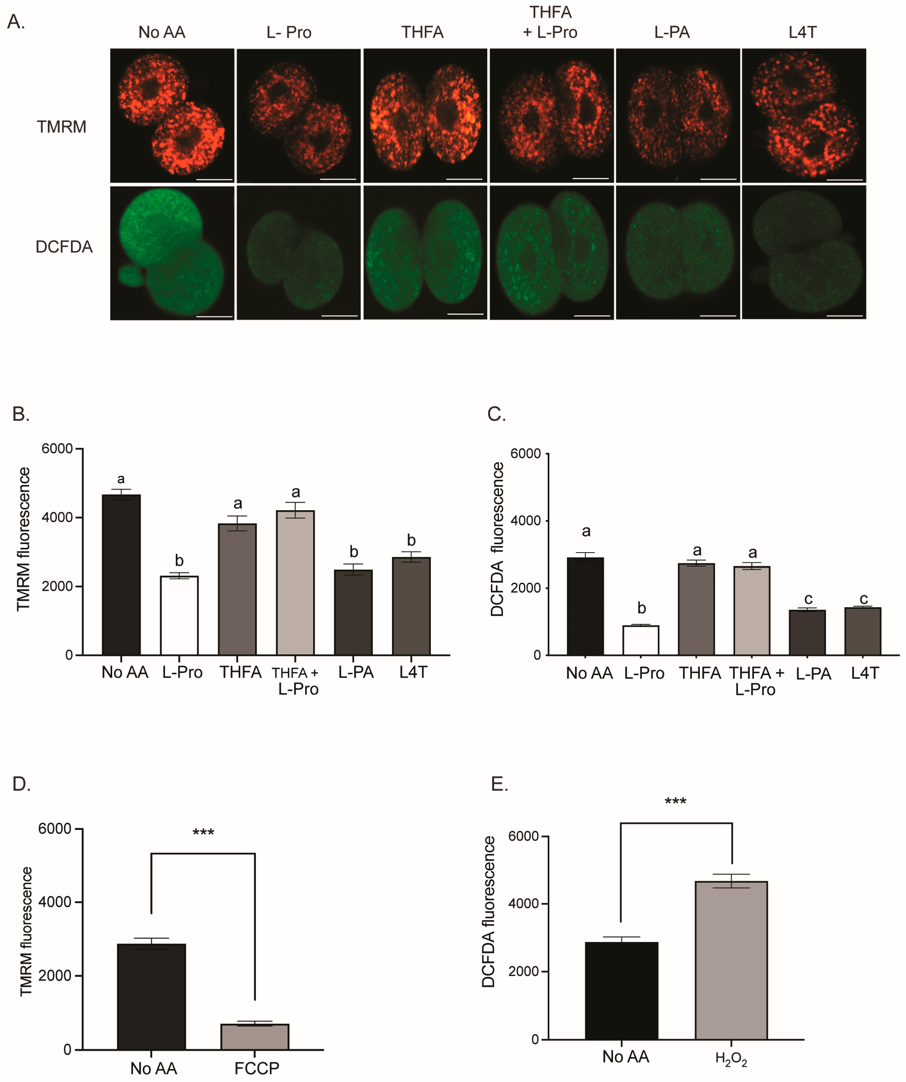 Cells 12 02640 g004 Cells 12 02640 g004