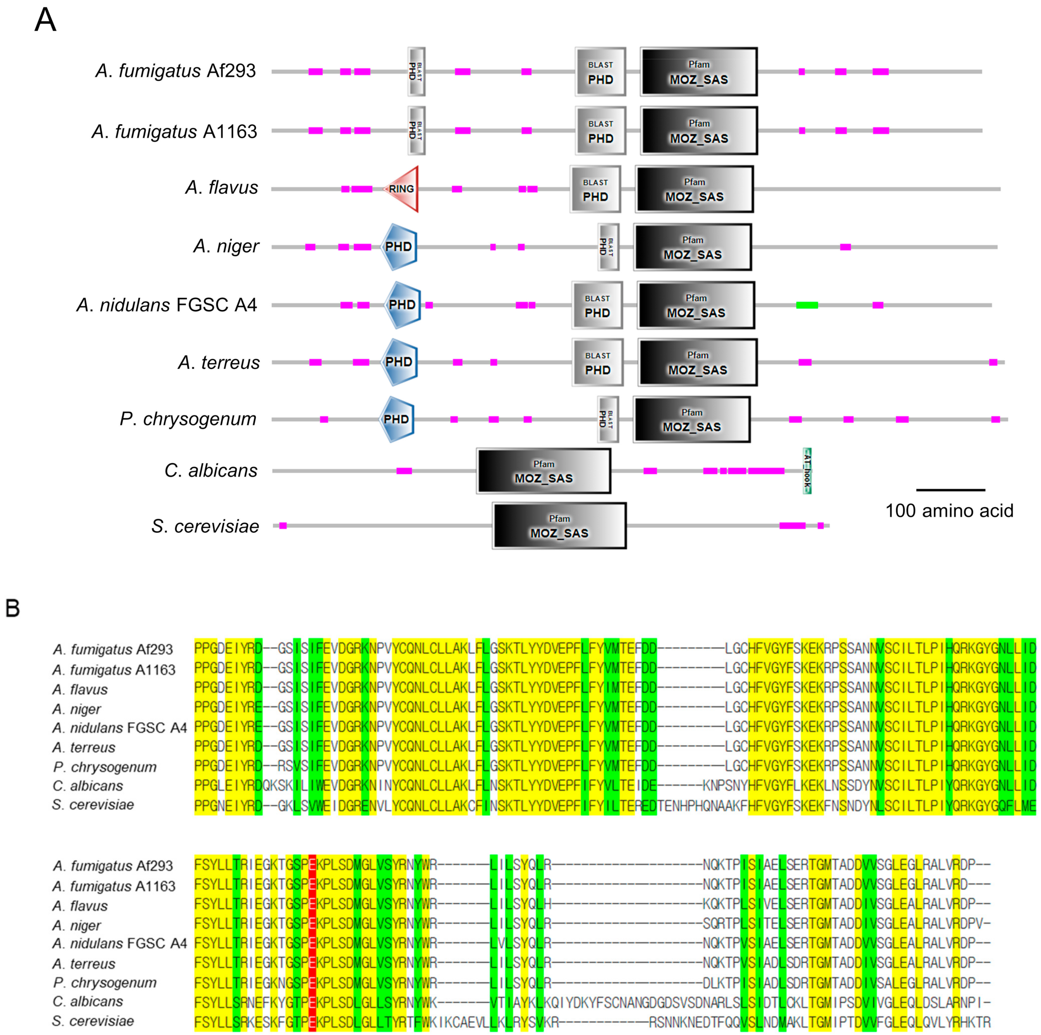 Cells 12 02642 g001 Cells 12 02642 g001
