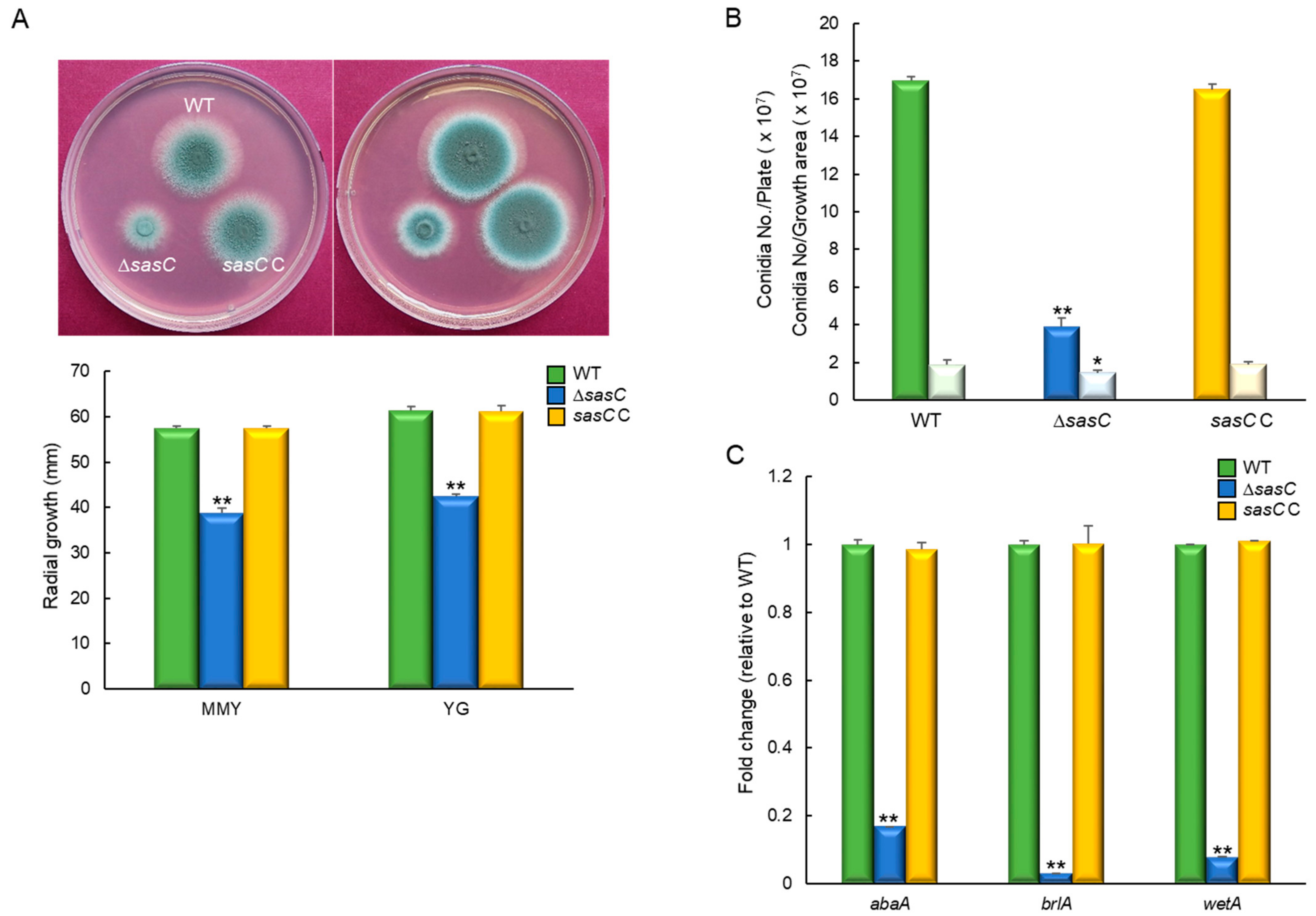Cells 12 02642 g002 Cells 12 02642 g002