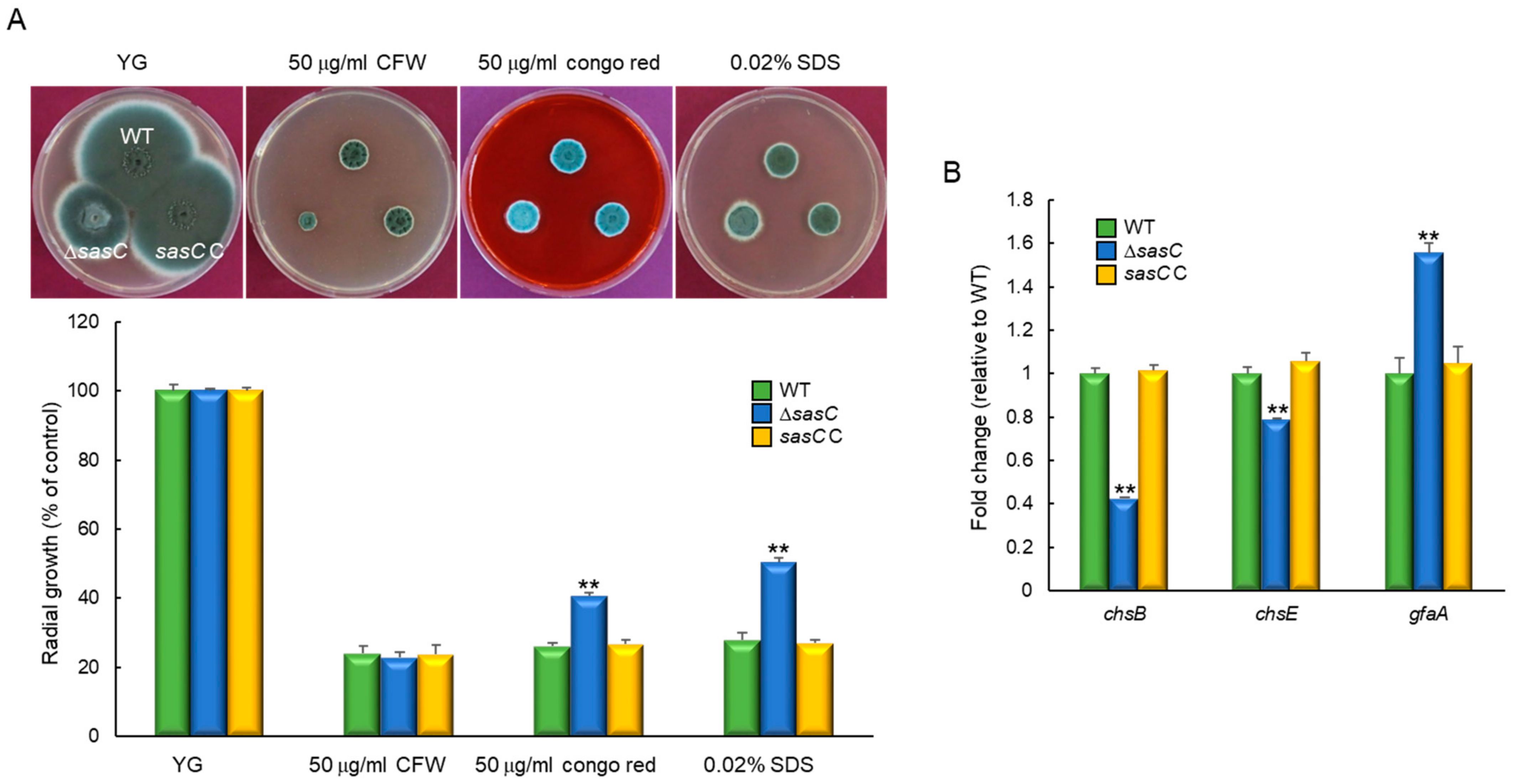 Cells 12 02642 g004 Cells 12 02642 g004