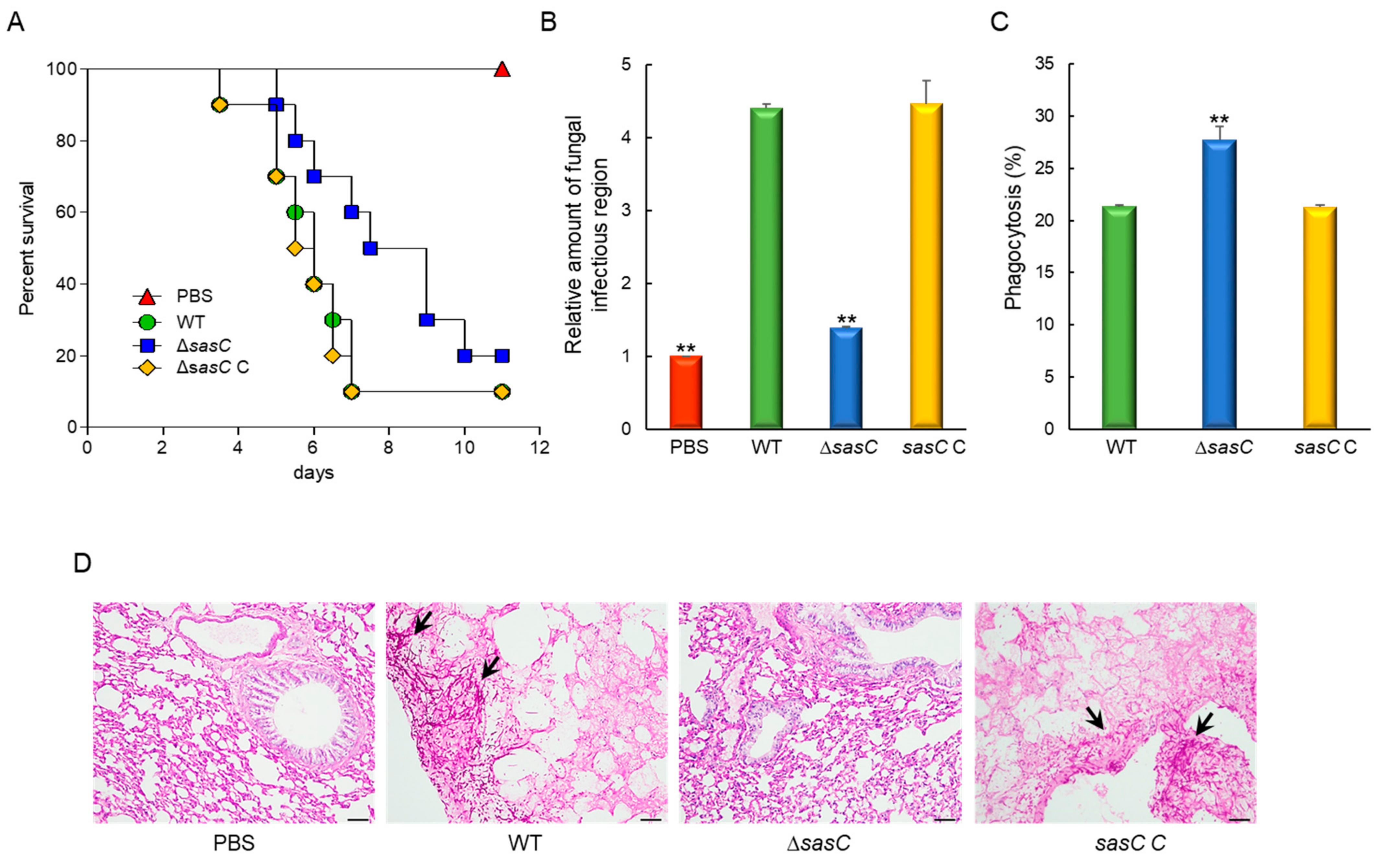Cells 12 02642 g006 Cells 12 02642 g006