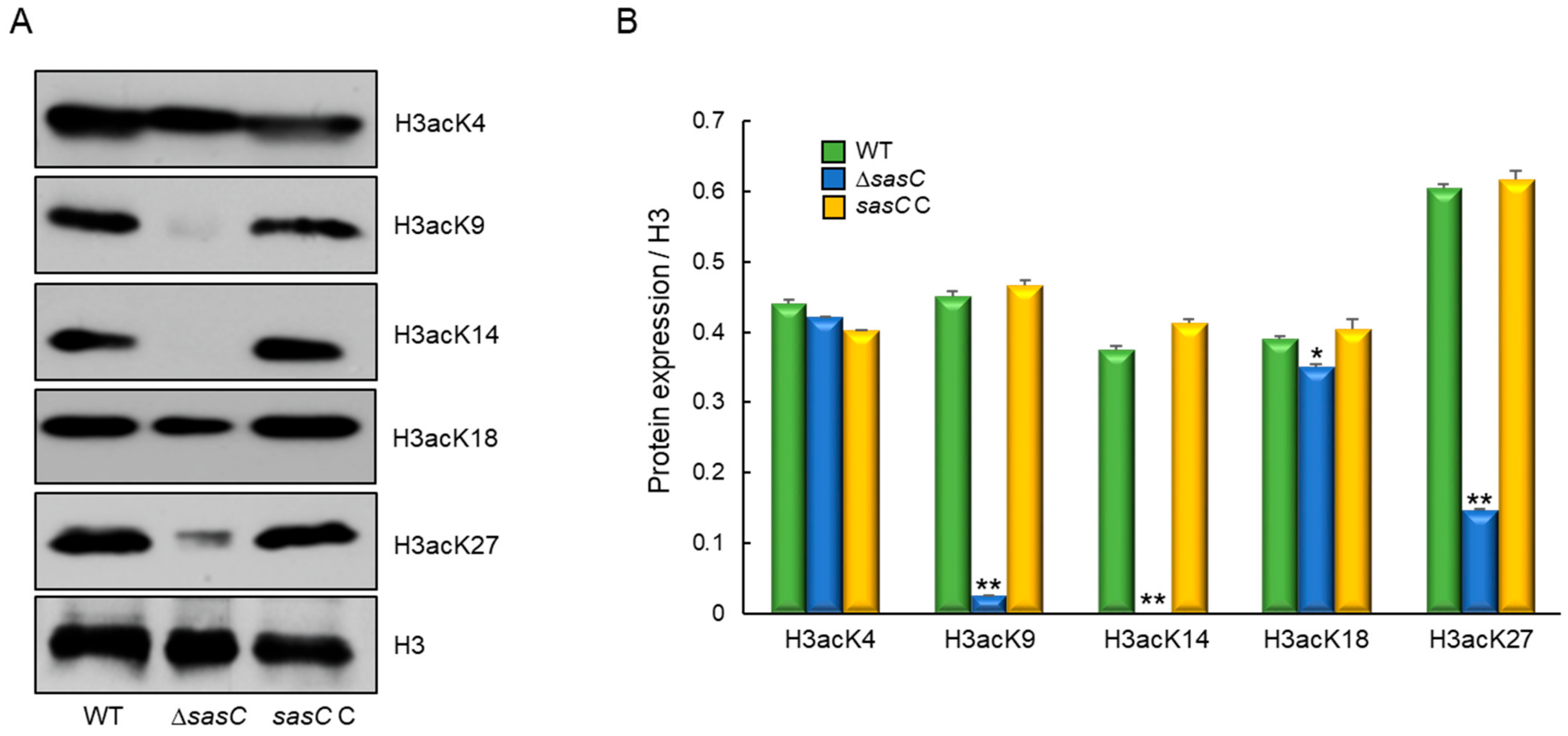 Cells 12 02642 g009 Cells 12 02642 g009