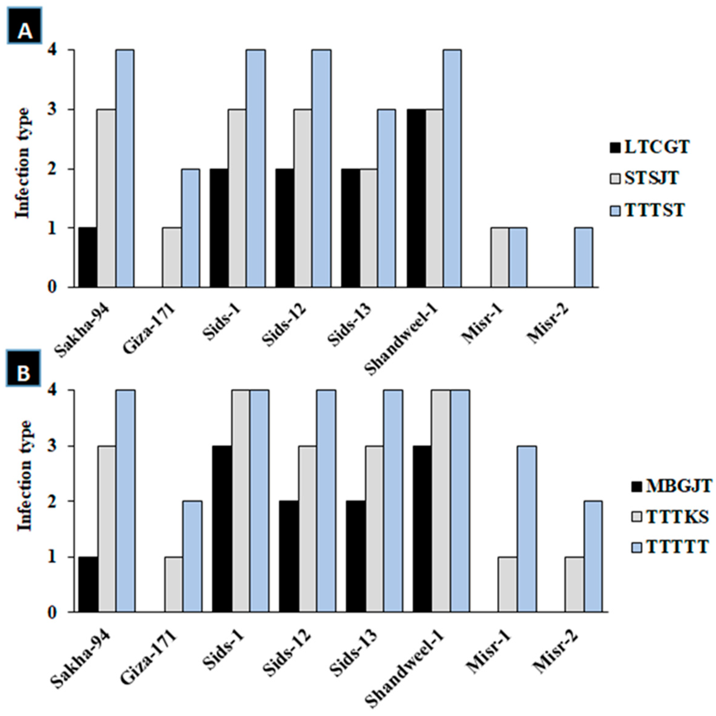 Cells 12 02643 g001 Cells 12 02643 g001