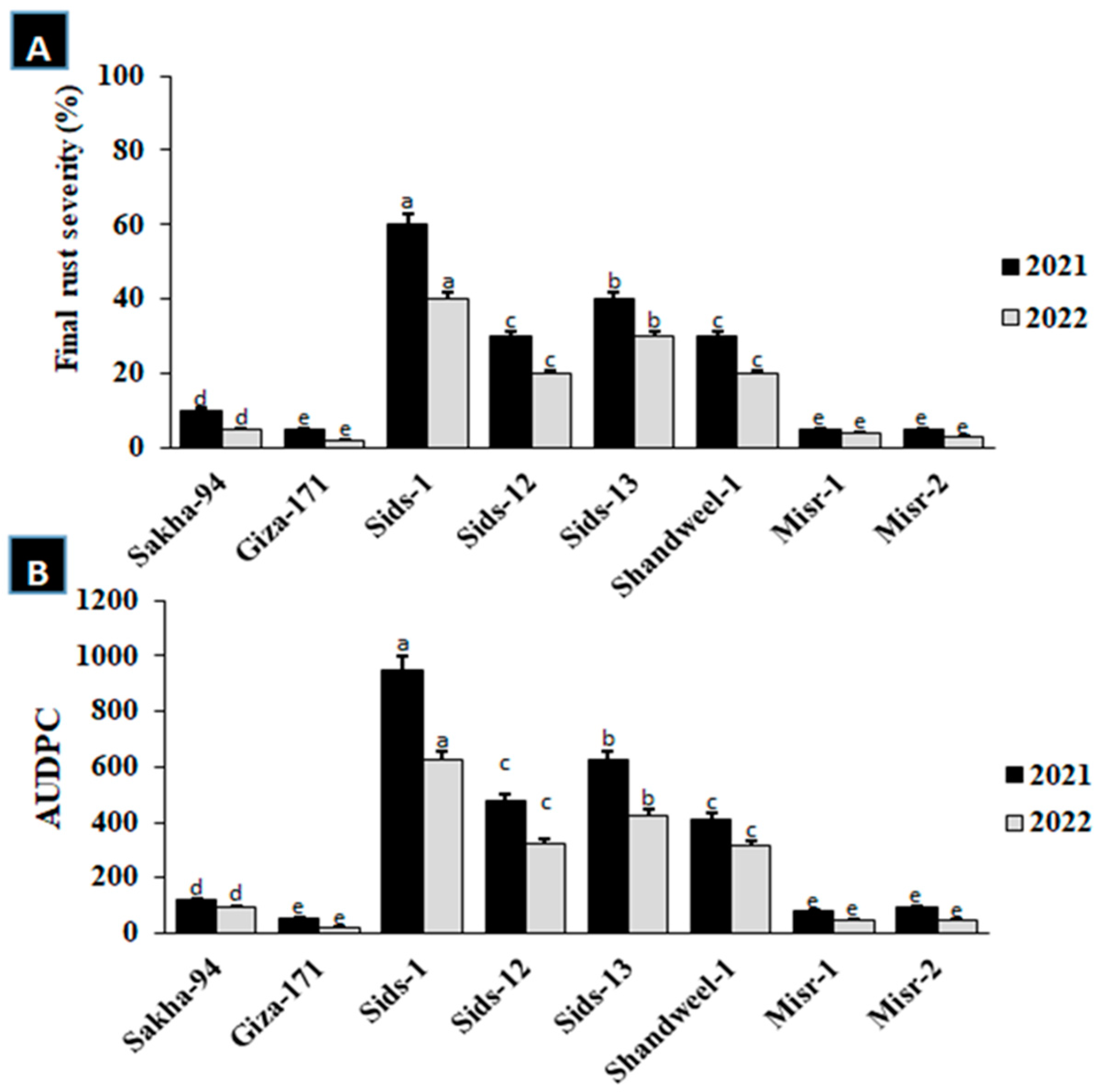 Cells 12 02643 g002 Cells 12 02643 g002