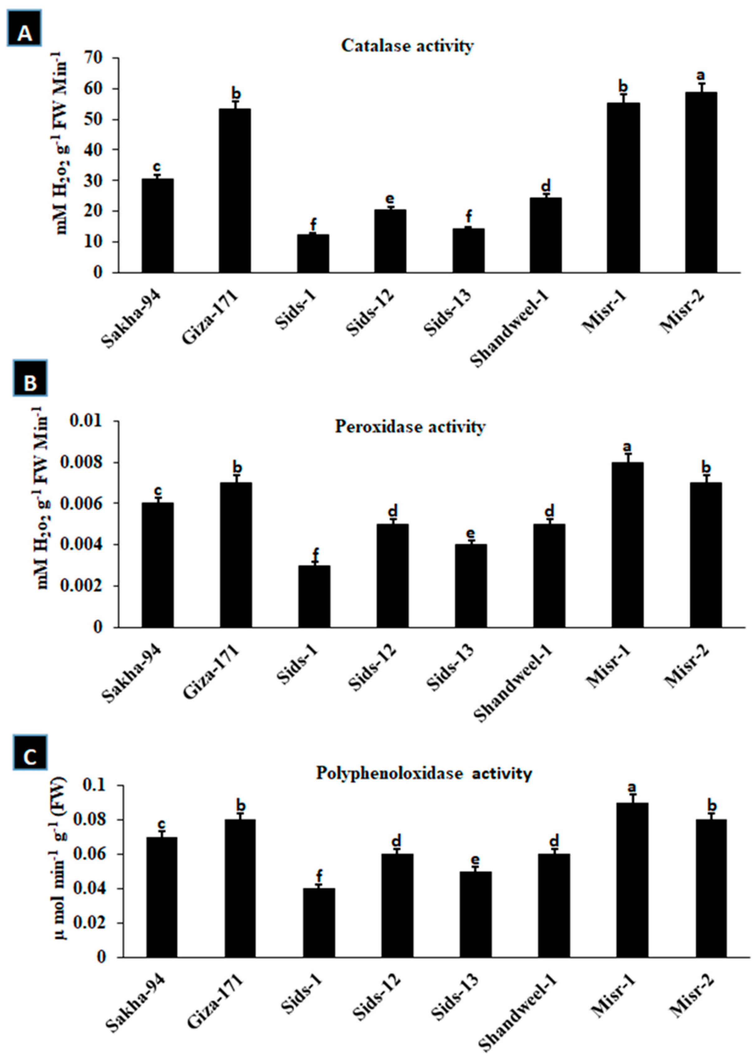 Cells 12 02643 g004 Cells 12 02643 g004