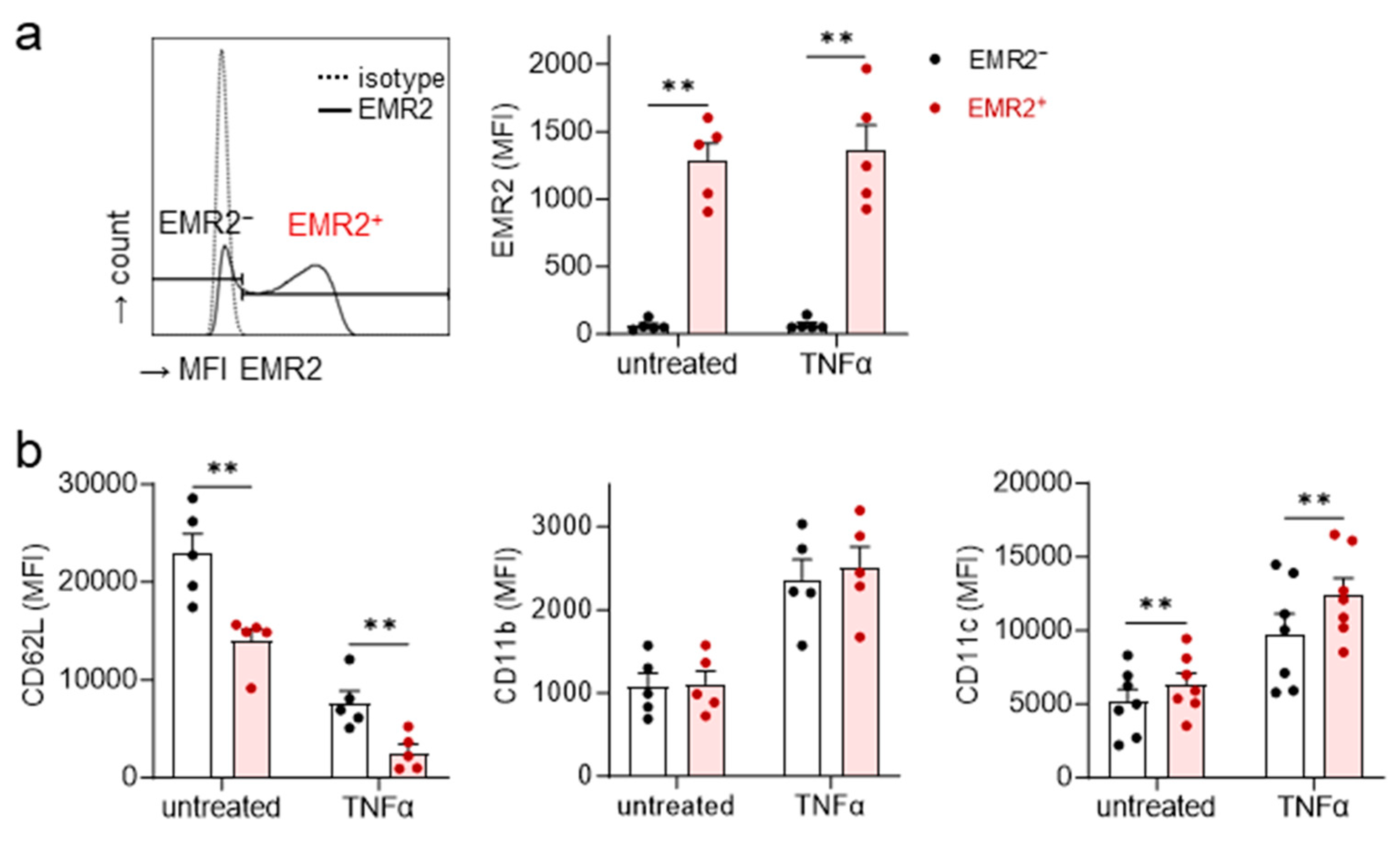 Cells 12 02657 g003 Cells 12 02657 g003