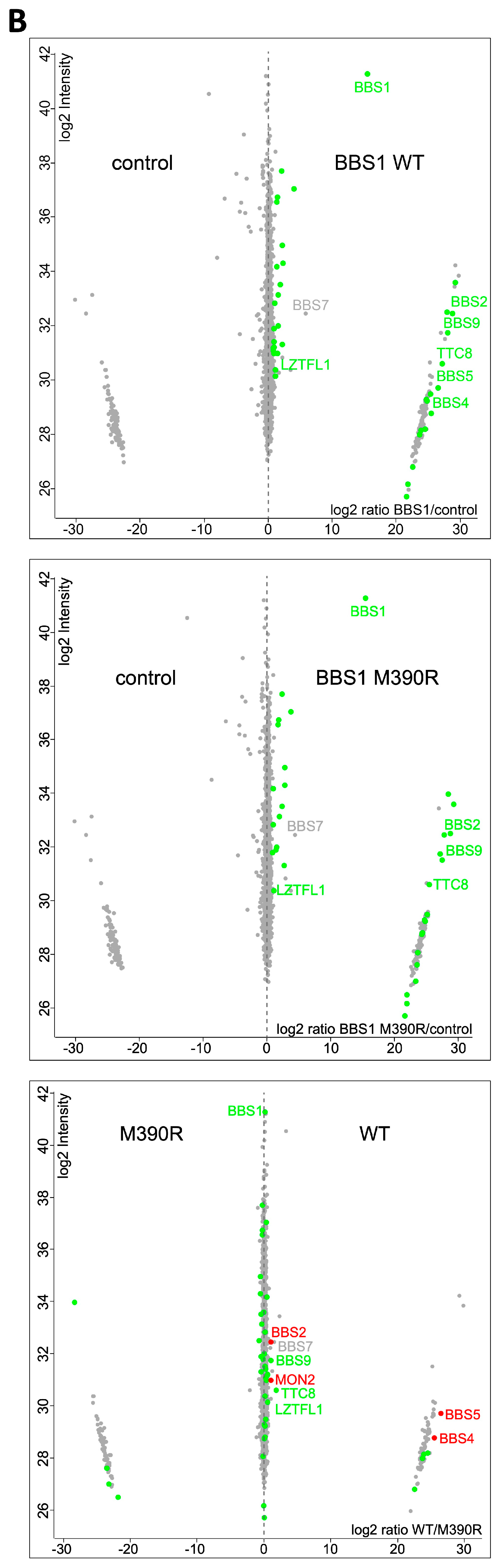 Cells 12 02662 g002b