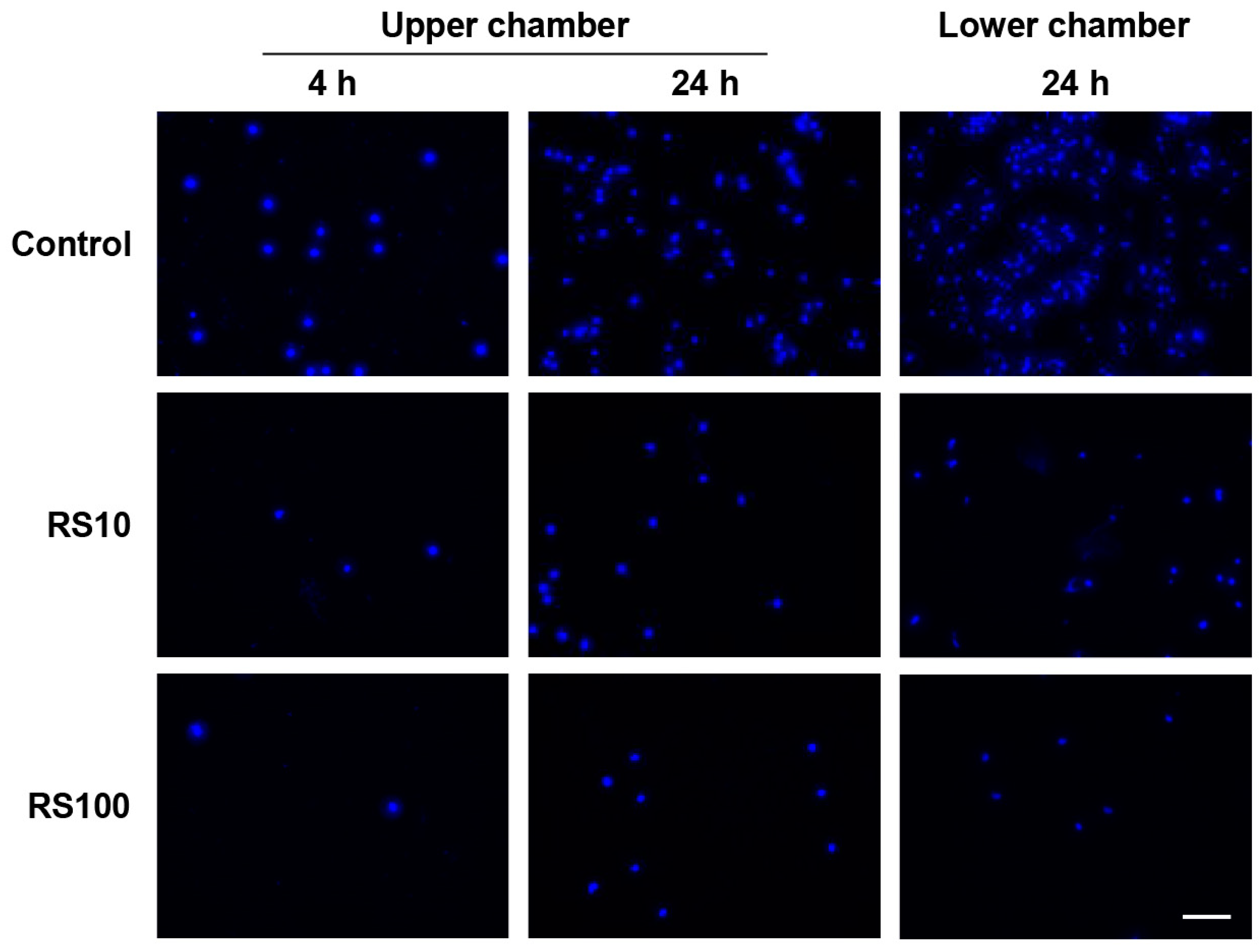 Cells 12 02666 g009a