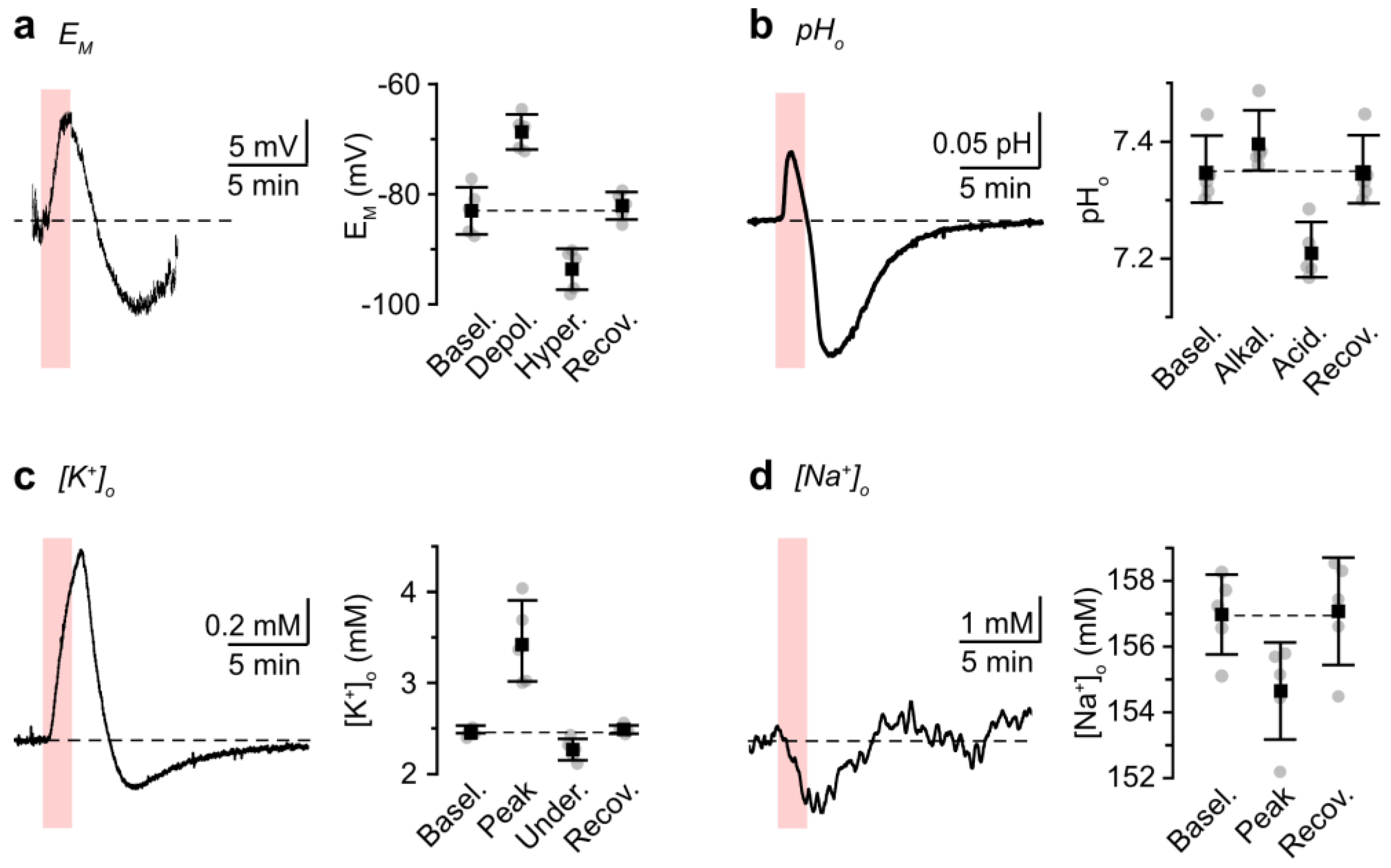 Cells 12 02675 g003 Cells 12 02675 g003