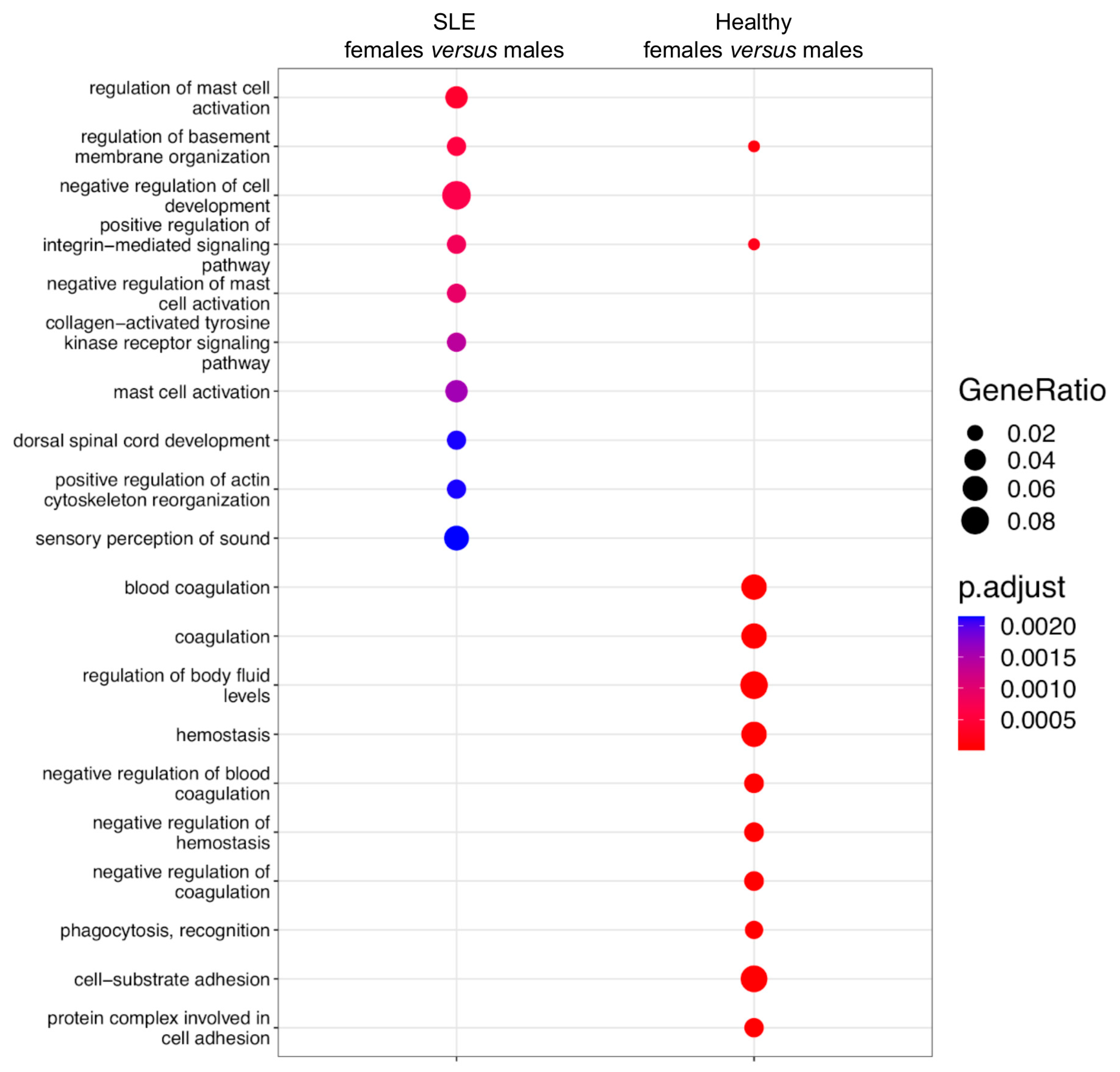 Cells 12 02678 g006 Cells 12 02678 g006