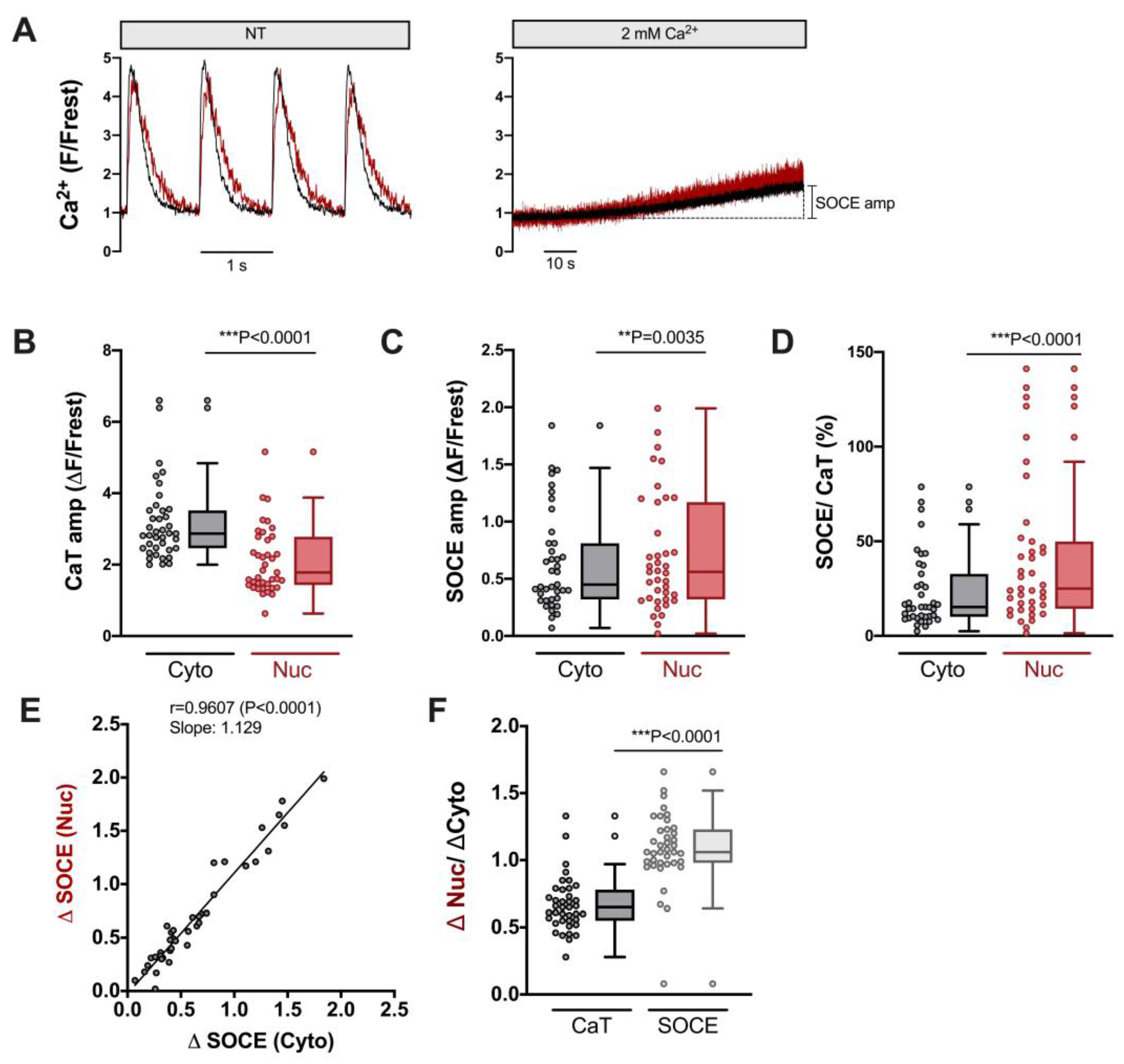 Cells 12 02690 g003 Cells 12 02690 g003