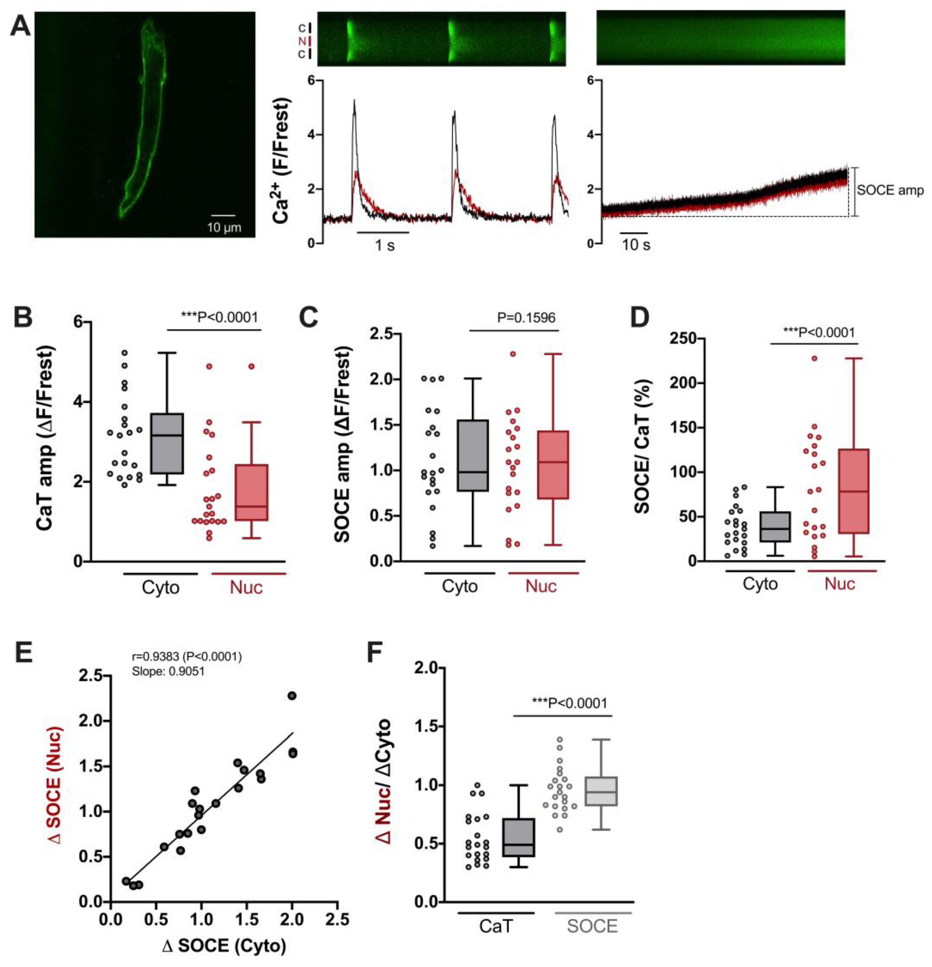 Cells 12 02690 g006 Cells 12 02690 g006