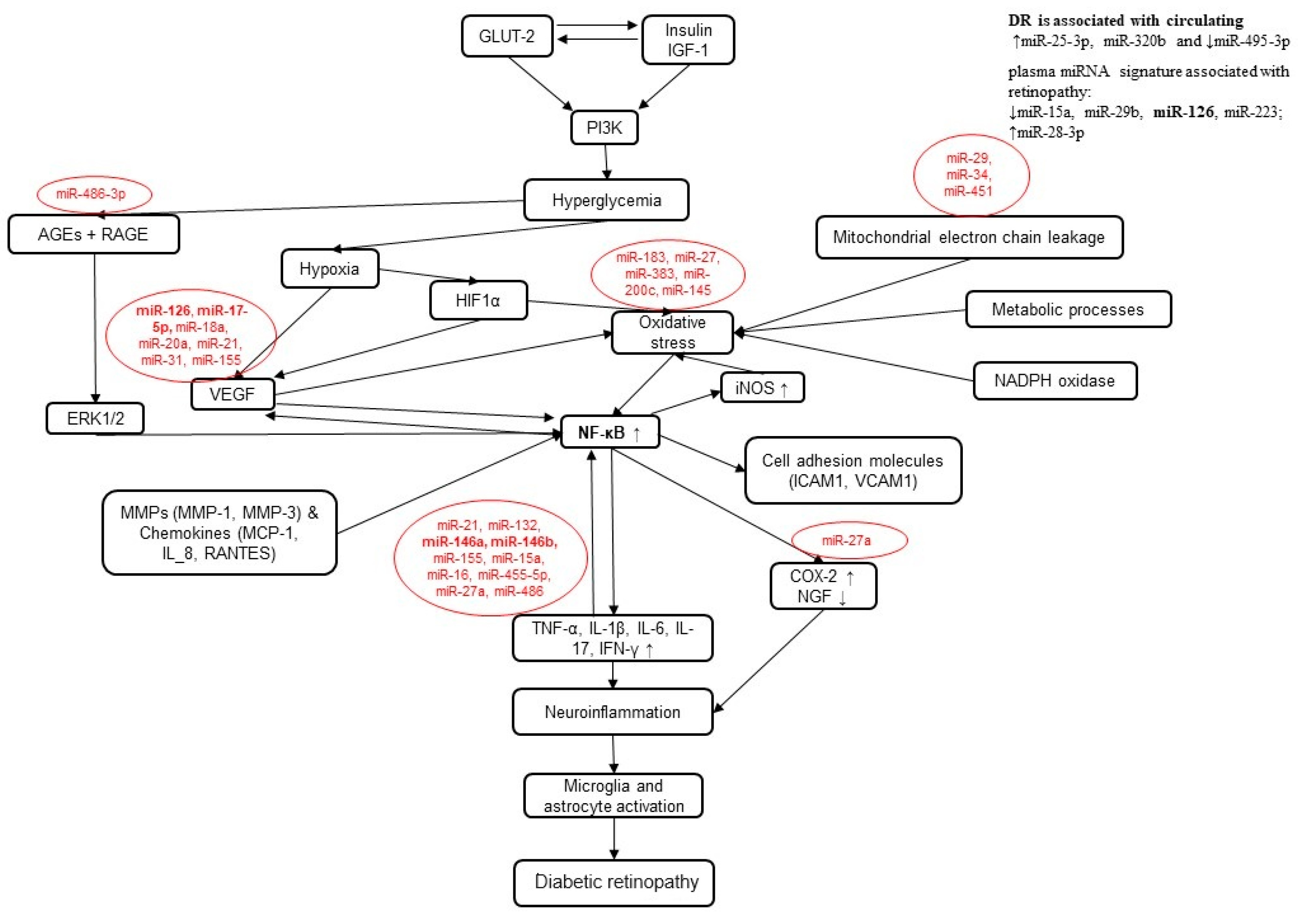 Cells 12 02699 g002 Cells 12 02699 g002
