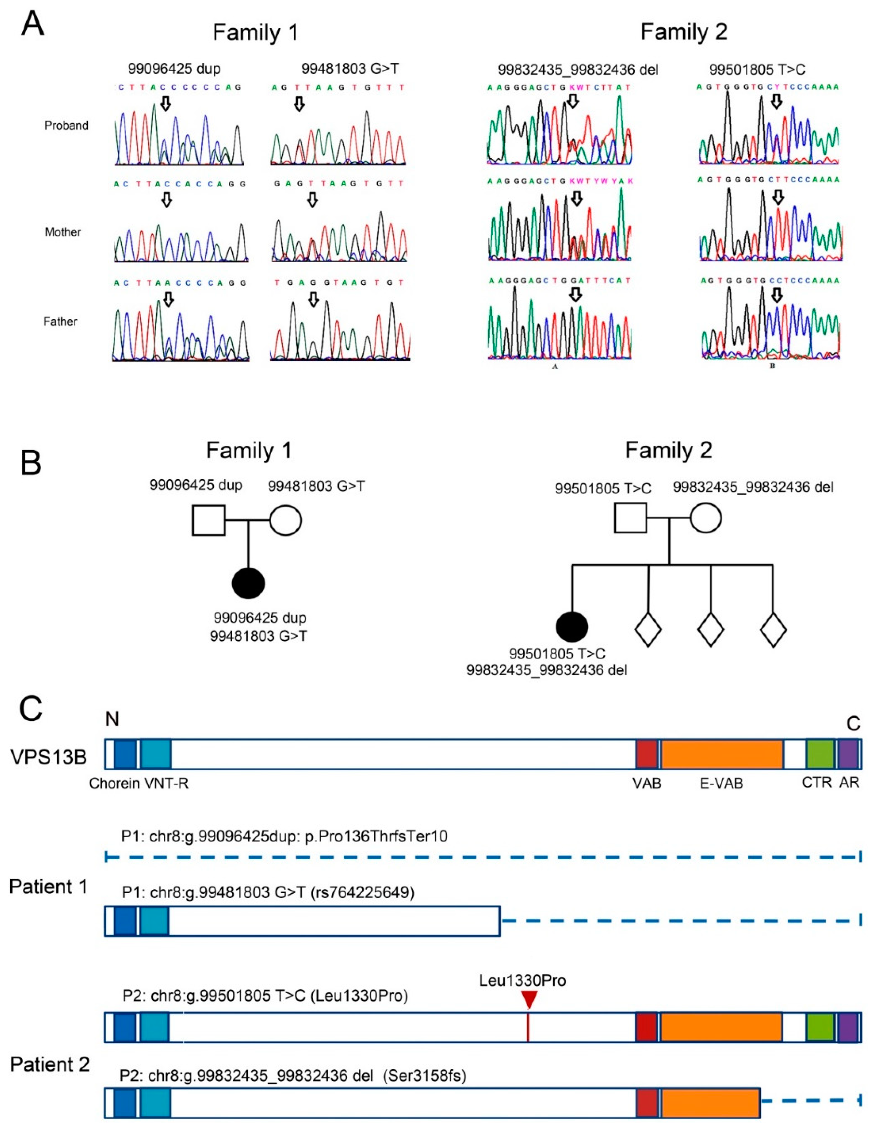 Cells 12 02702 g001 Cells 12 02702 g001