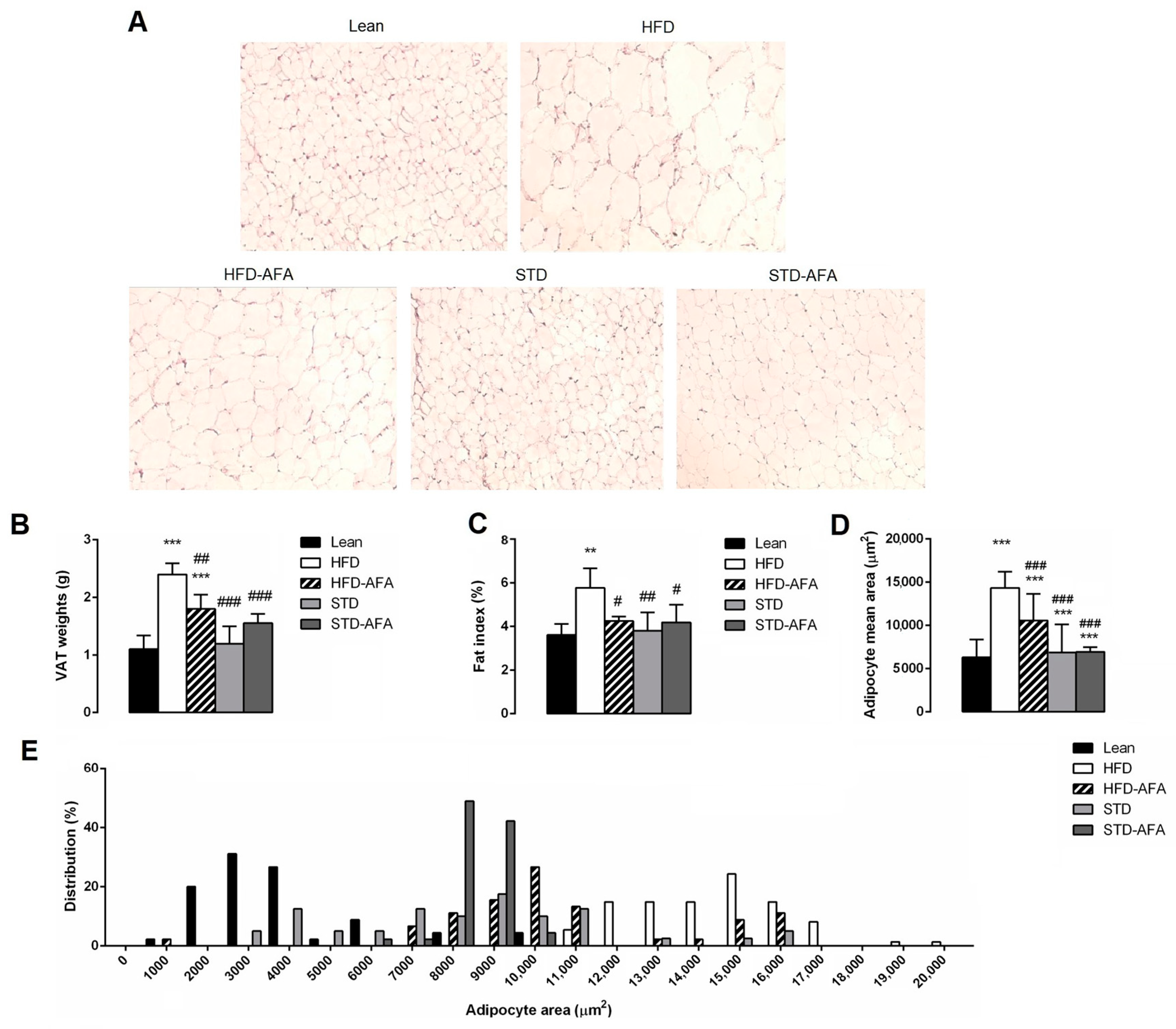 Cells 12 02706 g006 Cells 12 02706 g006