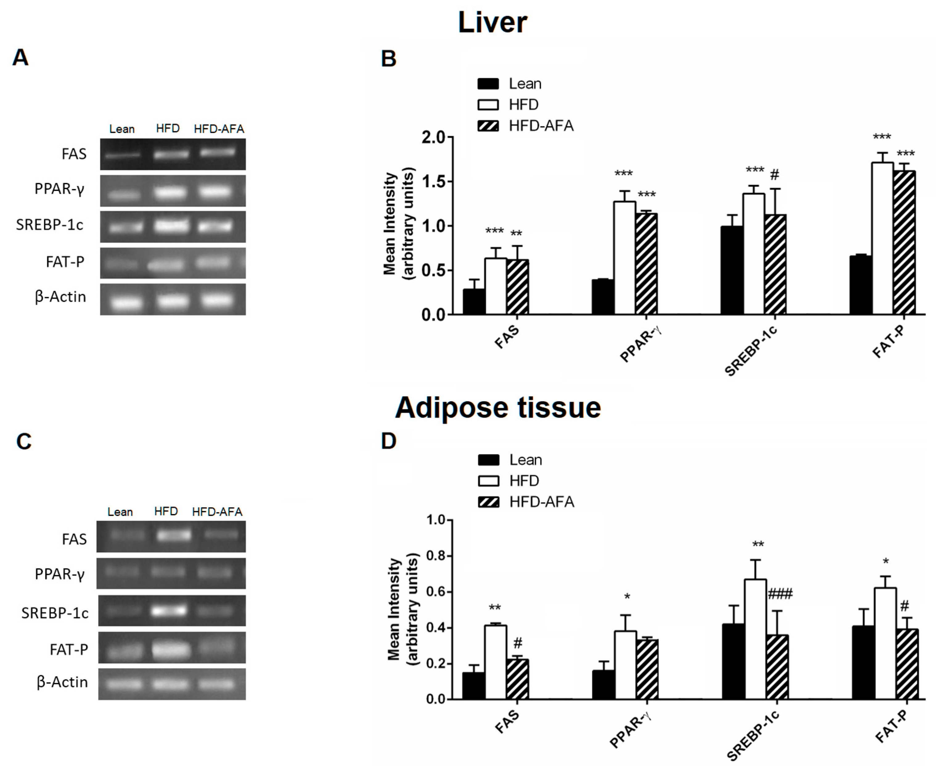 Cells 12 02706 g007 Cells 12 02706 g007