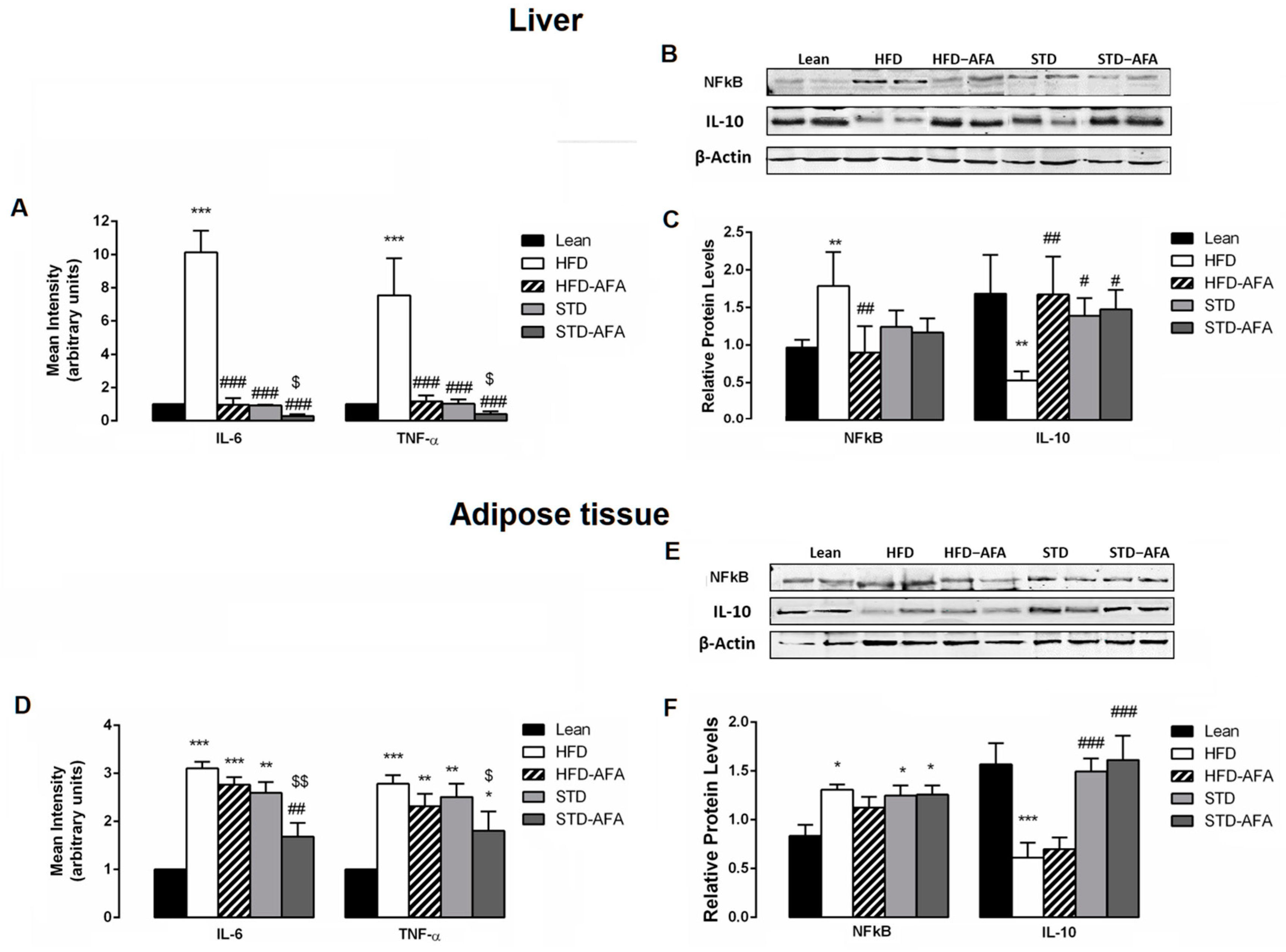 Cells 12 02706 g008 Cells 12 02706 g008