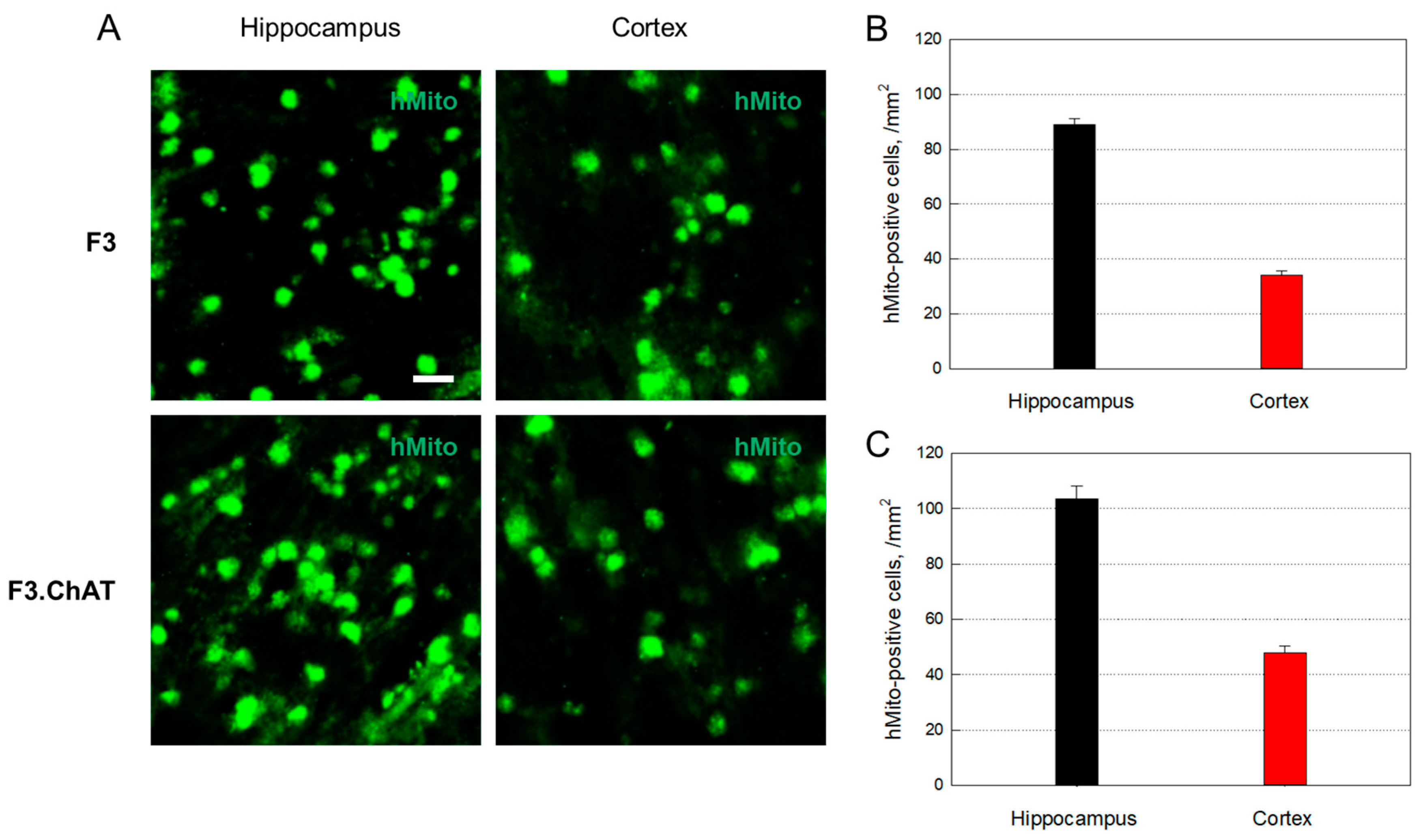 Cells 12 02711 g003 Cells 12 02711 g003