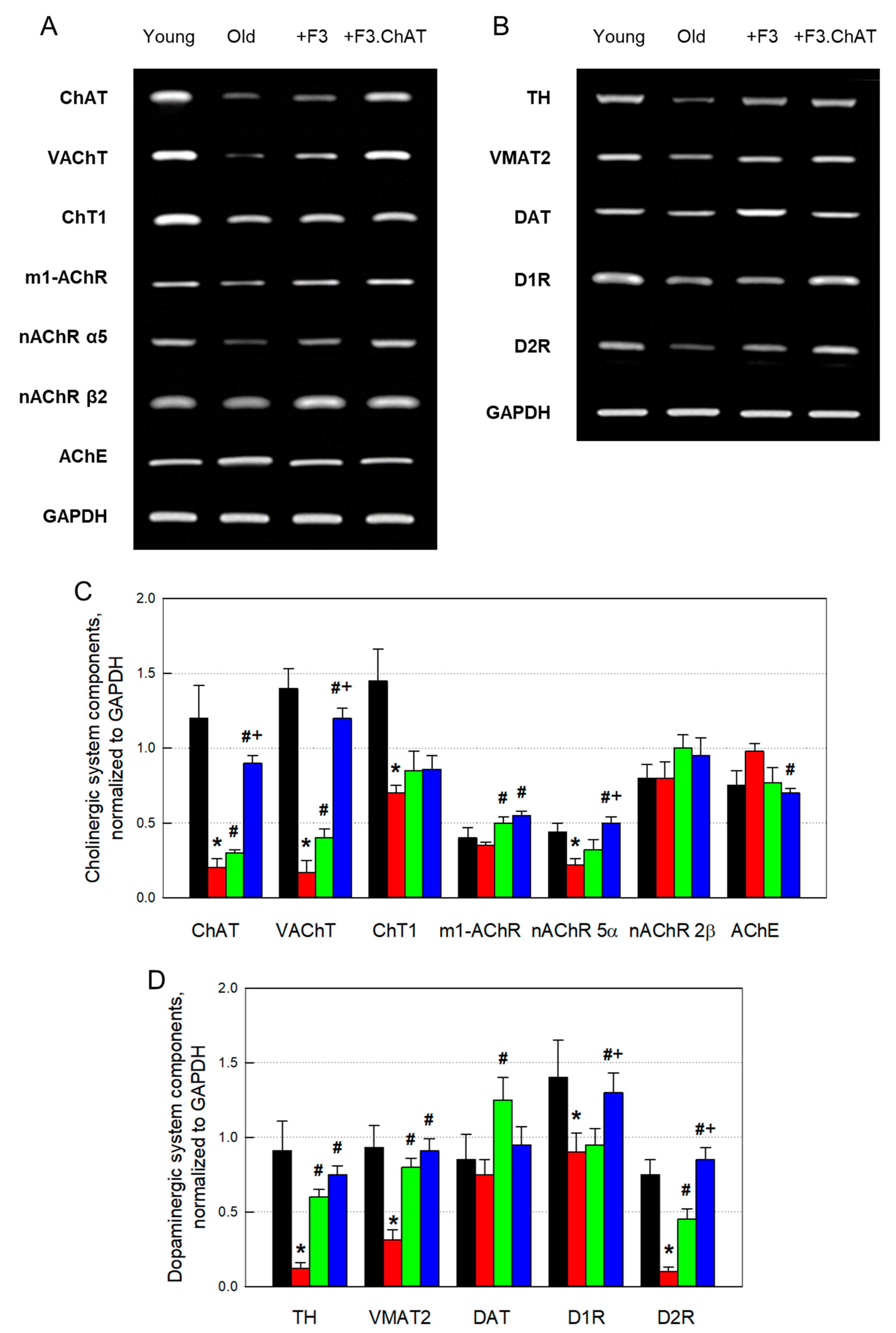 Cells 12 02711 g004 Cells 12 02711 g004