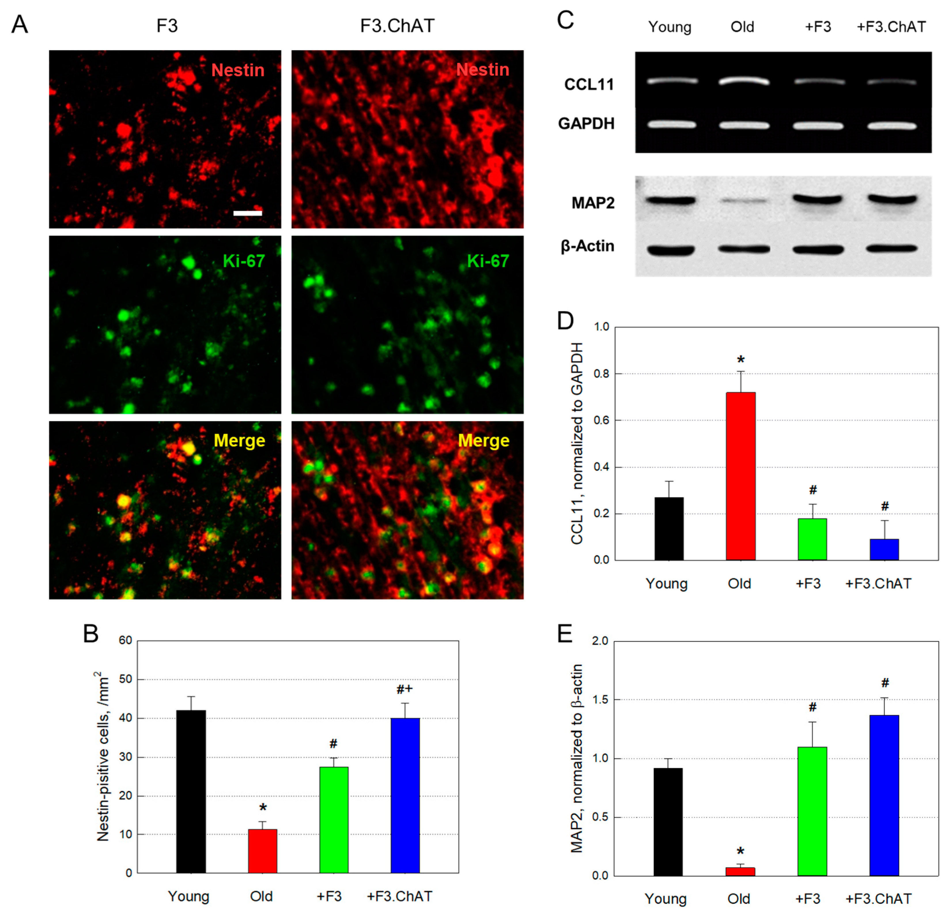 Cells 12 02711 g008 Cells 12 02711 g008