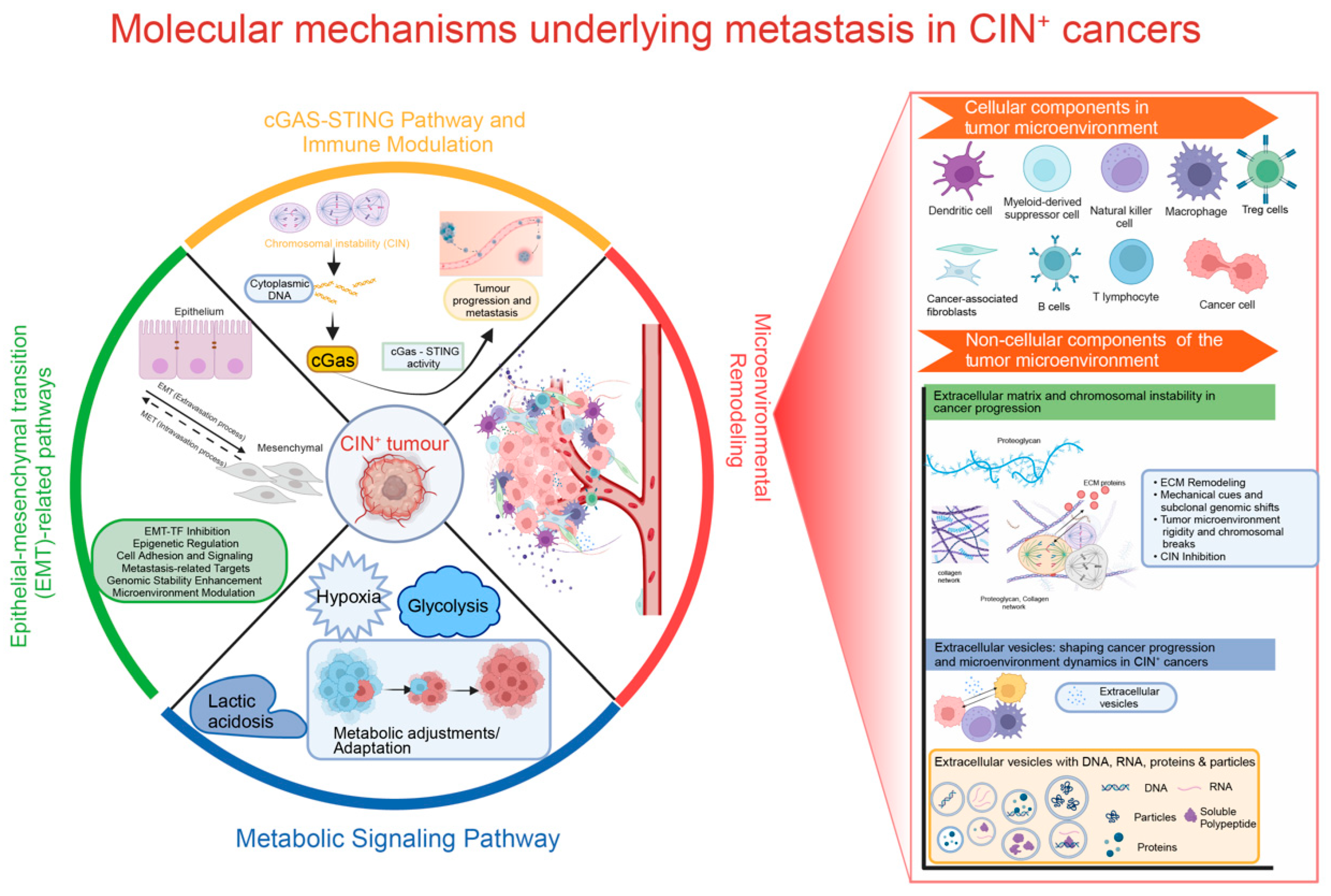 Cells 12 02712 g001 Cells 12 02712 g001