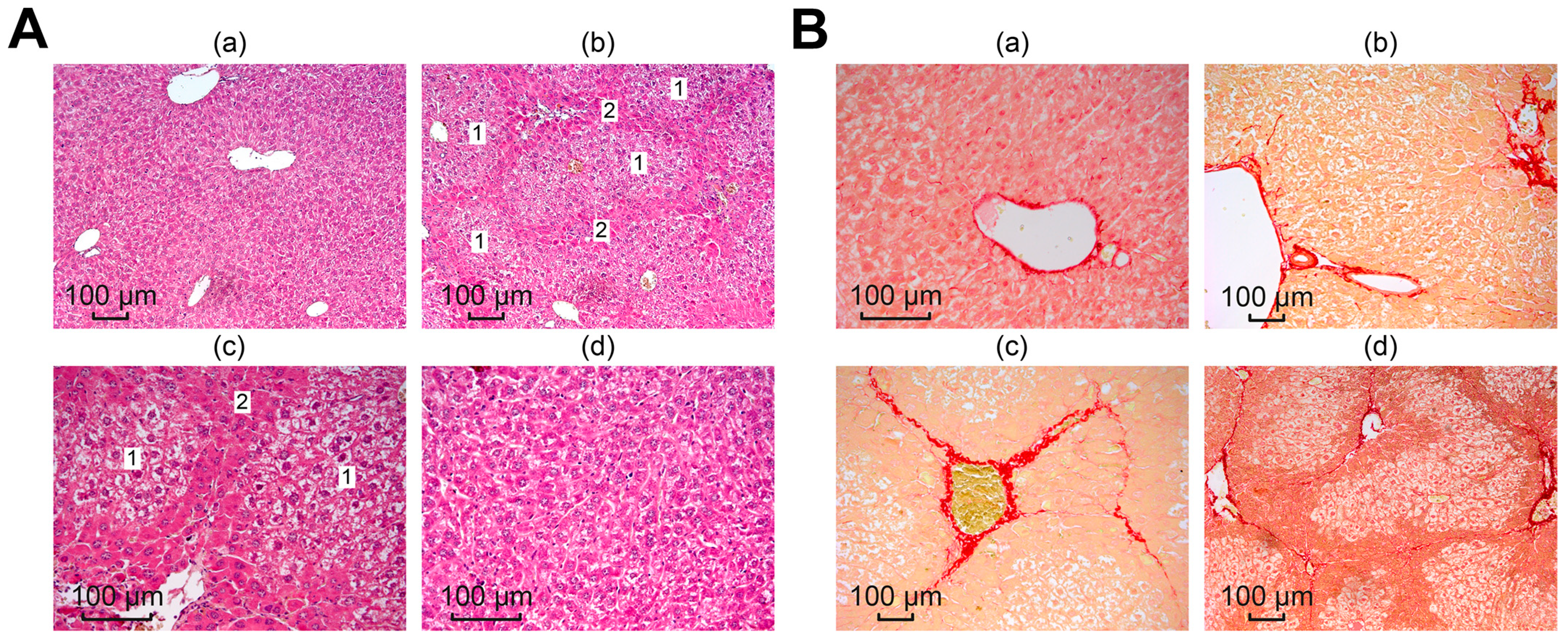 Cells 12 02723 g006 Cells 12 02723 g006