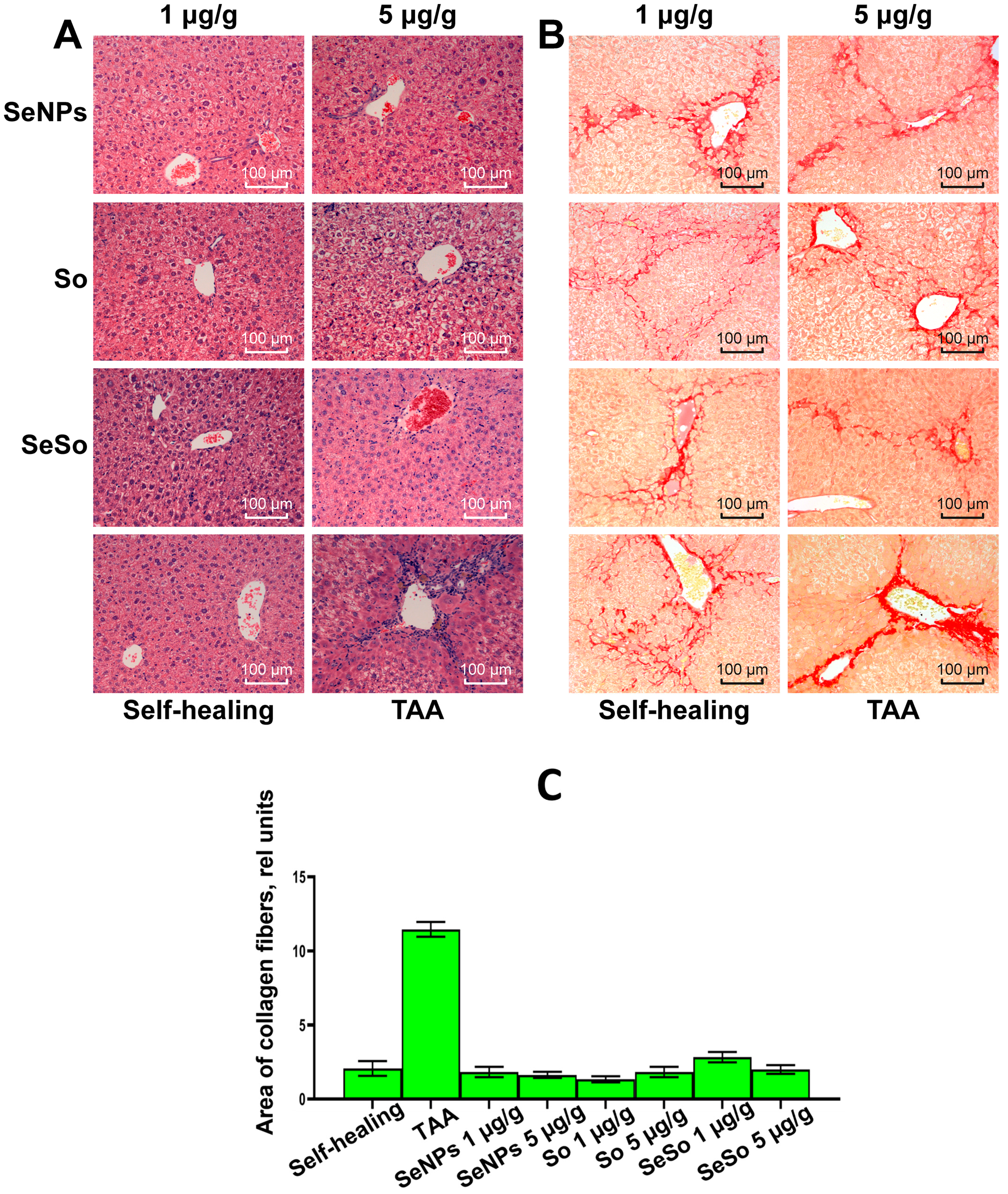 Cells 12 02723 g007 Cells 12 02723 g007