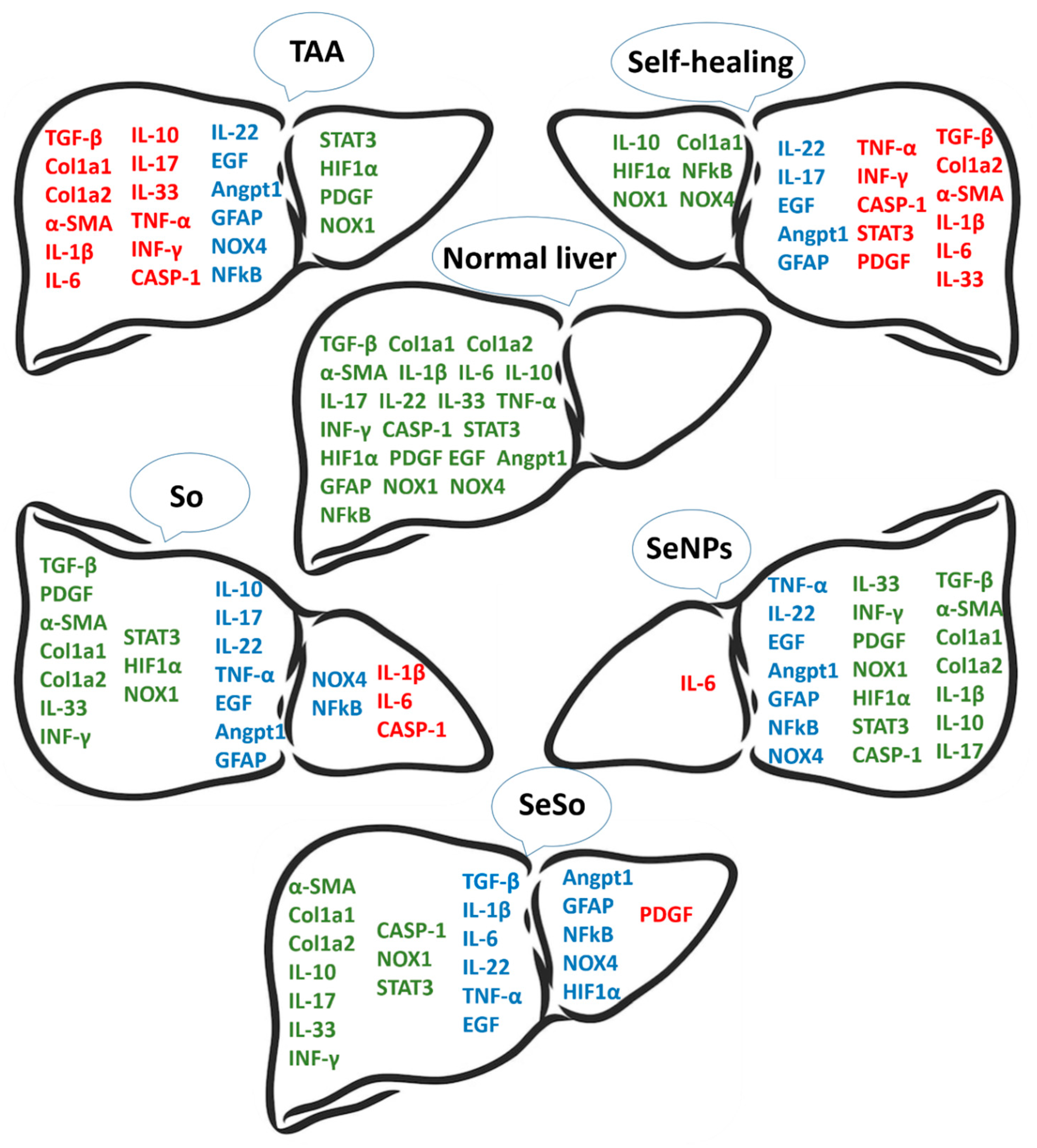 Cells 12 02723 g011 Cells 12 02723 g011