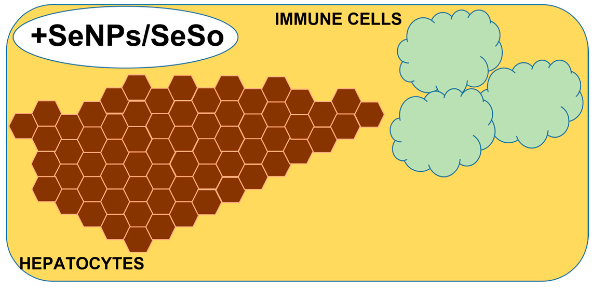 Cells 12 02723 g012b Cells 12 02723 g012b