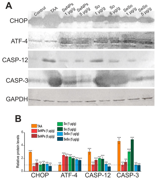 Antifibrotic Effect of Selenium-Containing Nanoparticles on