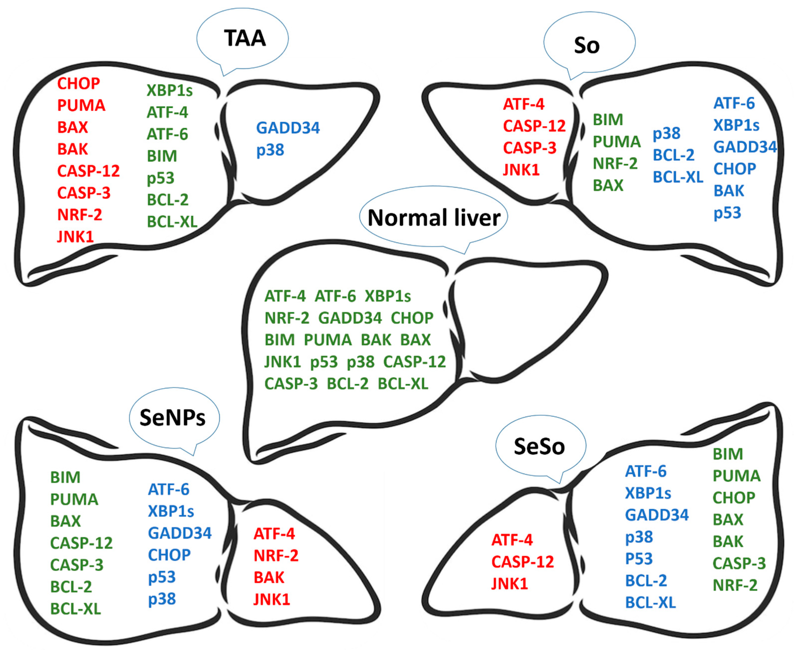 Cells 12 02723 g015 Cells 12 02723 g015