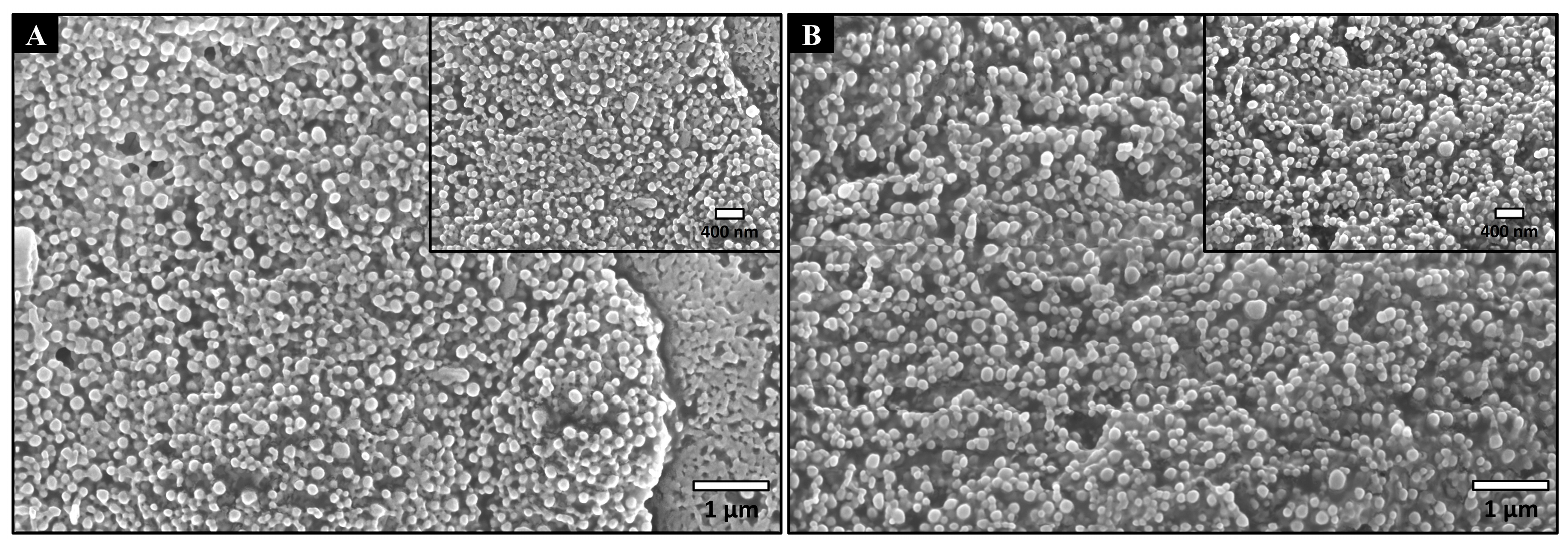 Cells 12 02735 g001 Cells 12 02735 g001