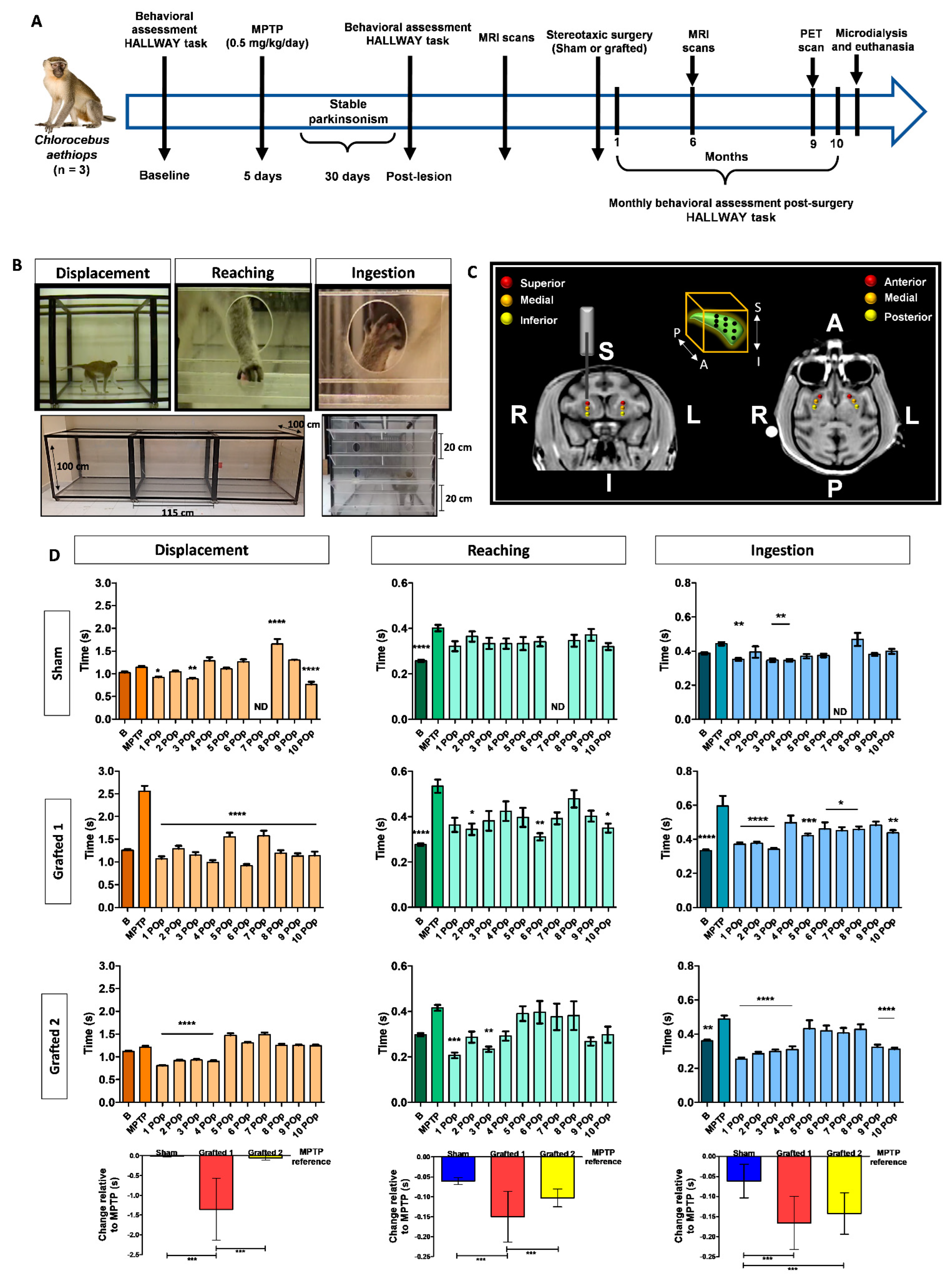 Cells 12 02738 g002 Cells 12 02738 g002