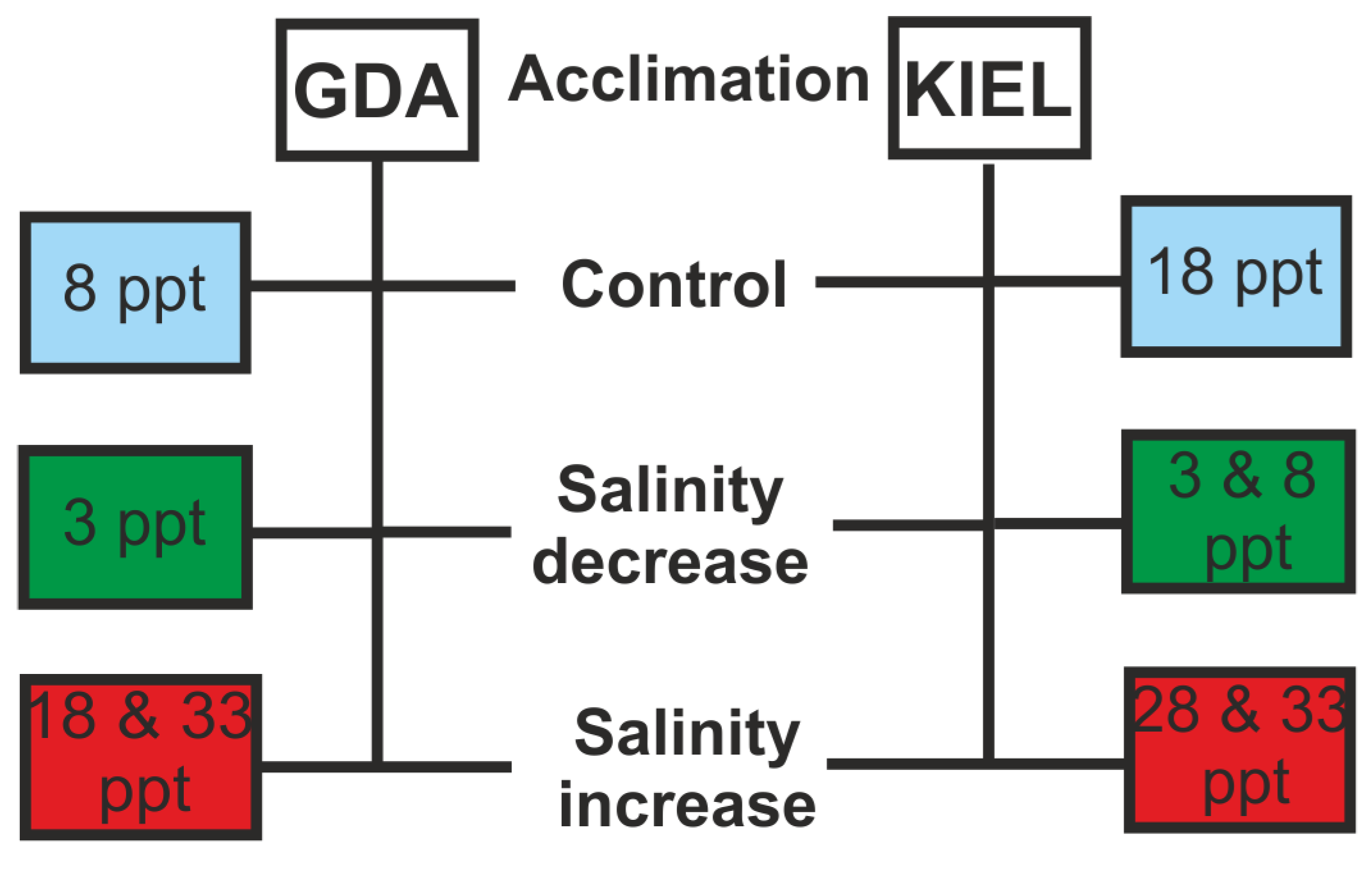 Cells 12 02760 g002 Cells 12 02760 g002