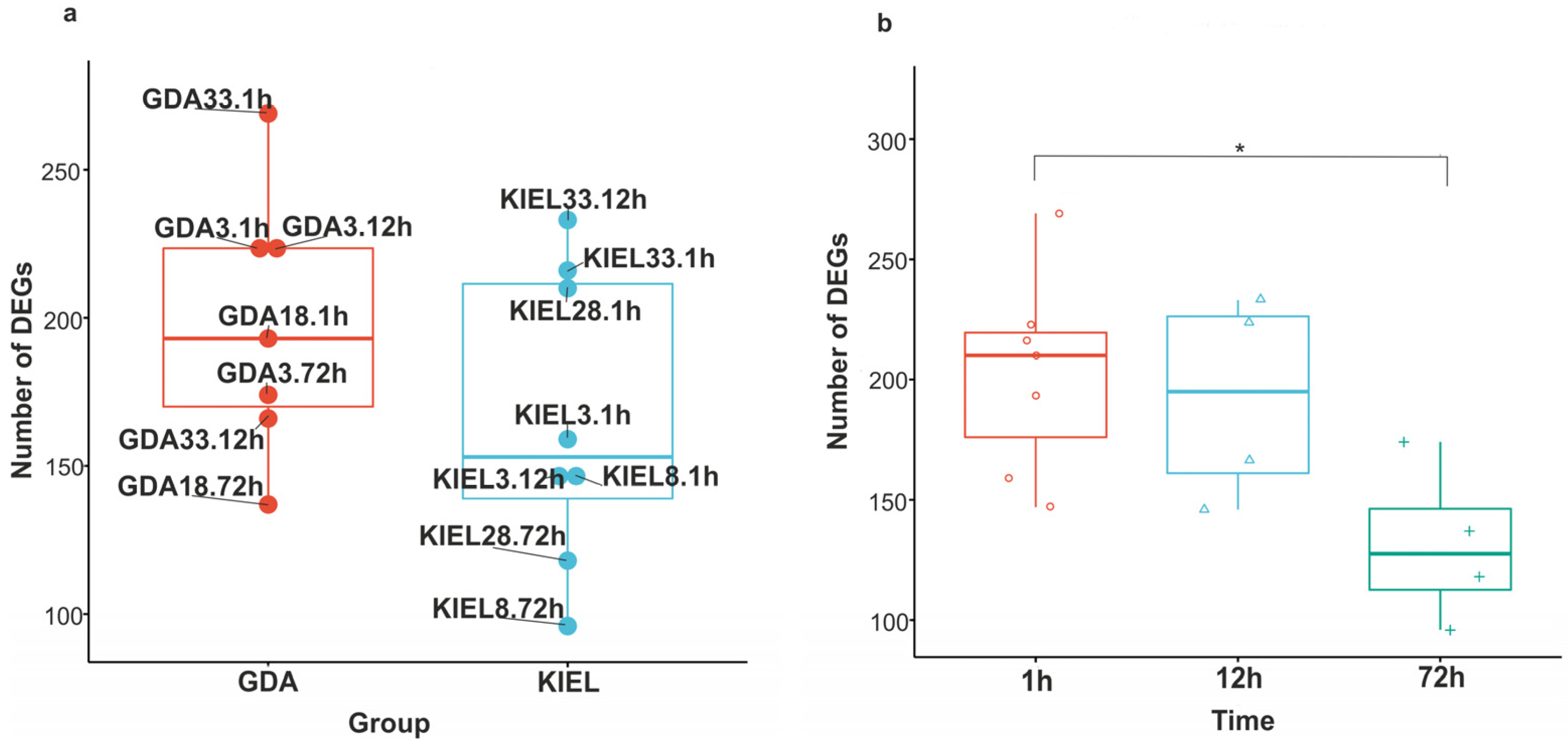 Cells 12 02760 g004 Cells 12 02760 g004