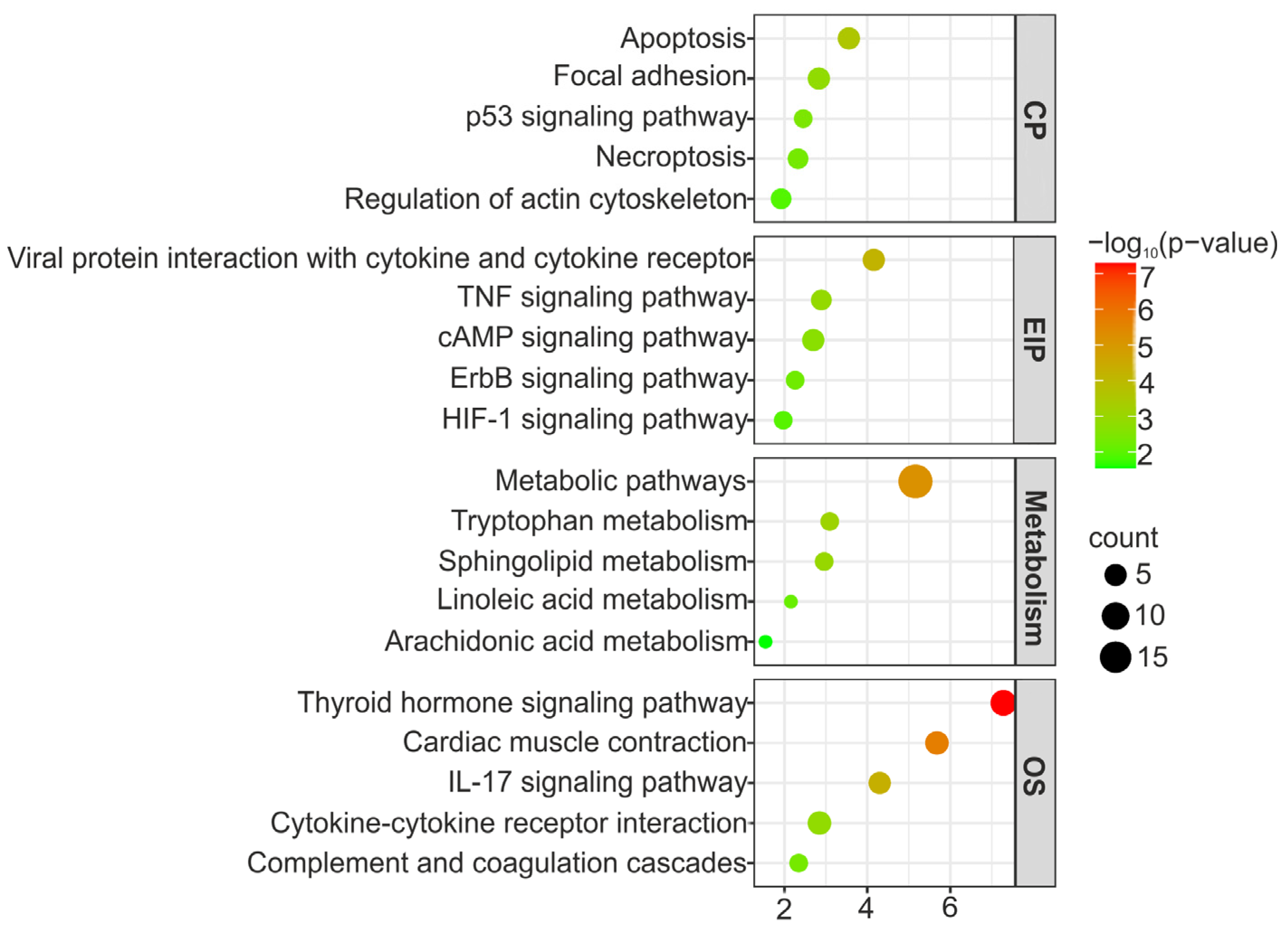 Cells 12 02760 g007 Cells 12 02760 g007