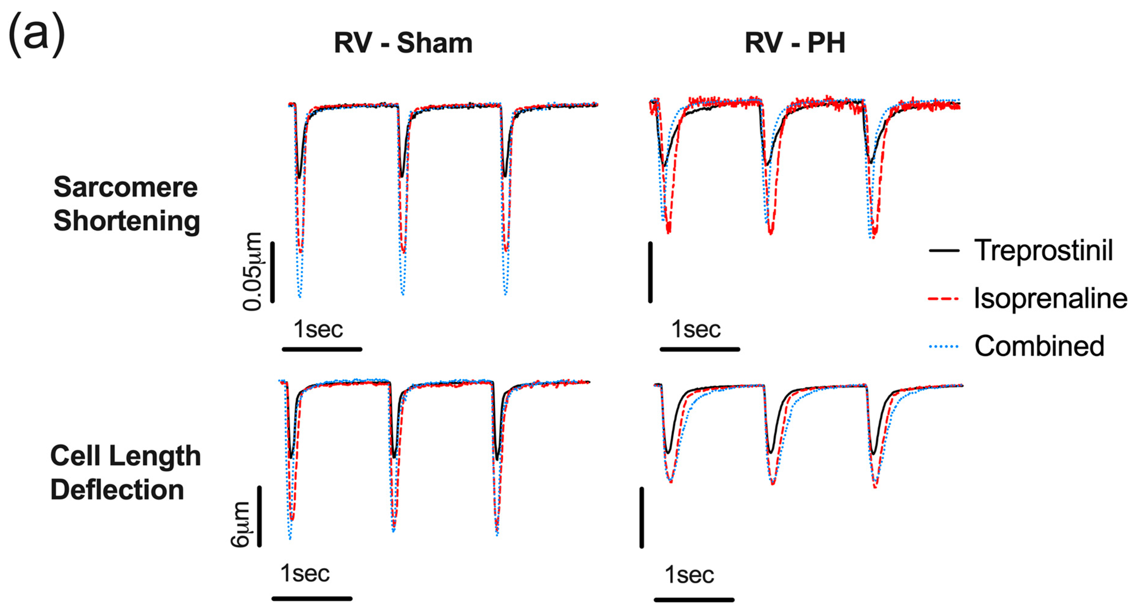 Cells 12 02764 g005a